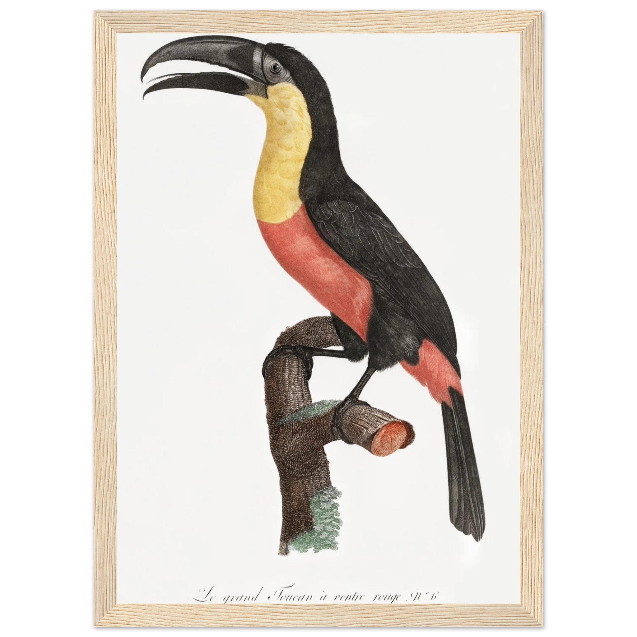 62dd575c-bddb-48d9-a8f4-5da23bb3c12c