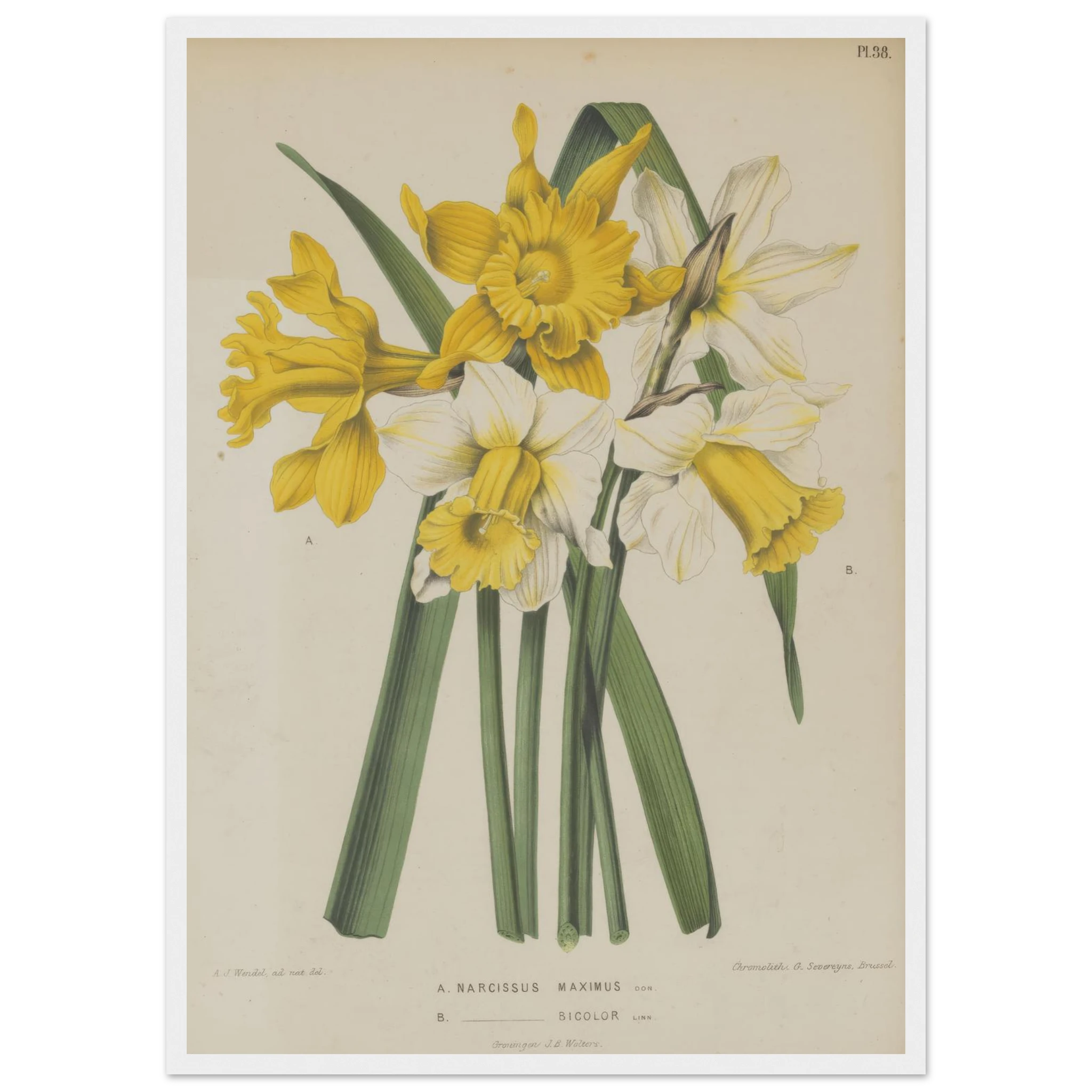 63337b88-9bed-48c3-944d-956e89d2de92