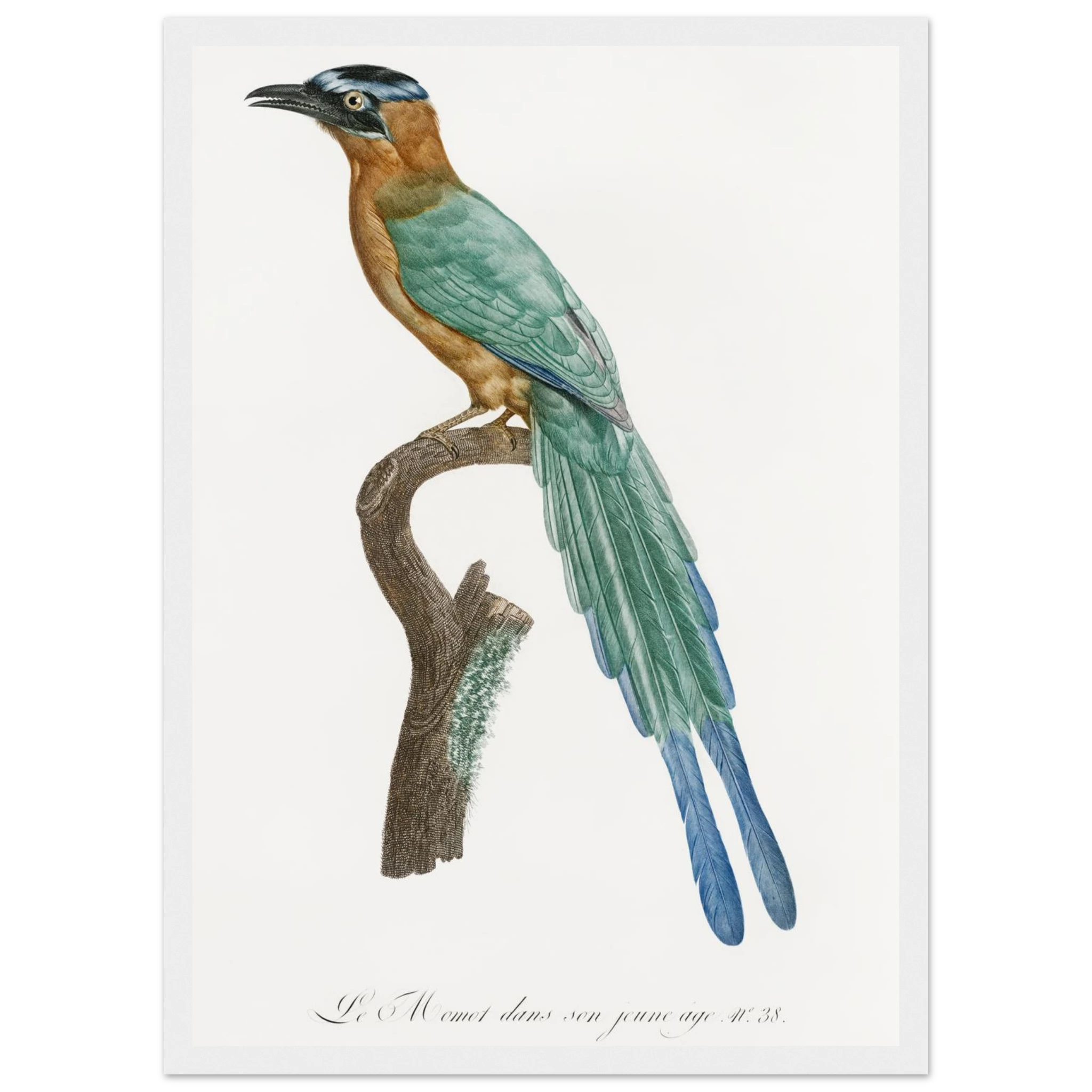 6338d00a-590c-41f7-ad20-3357463dc94e