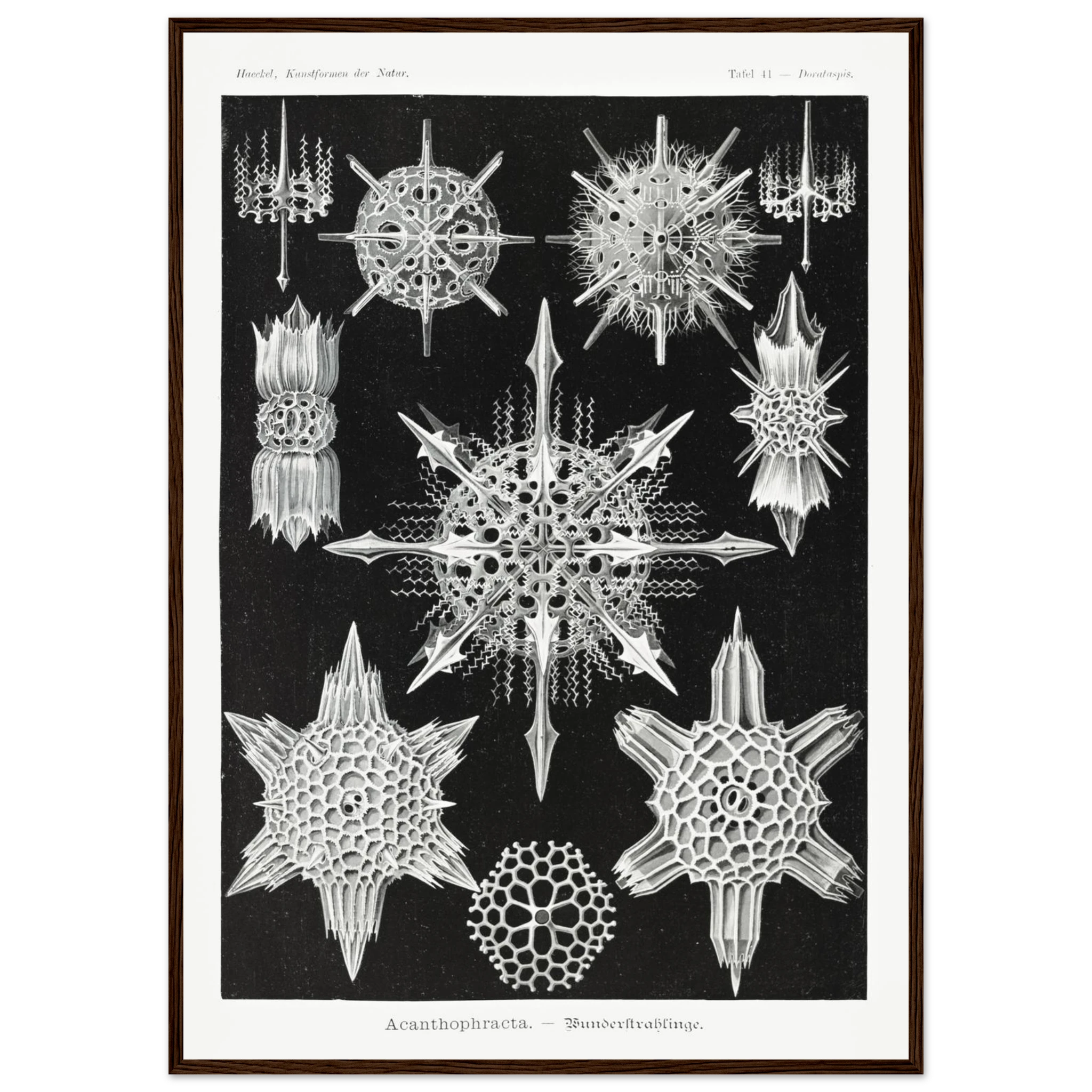 6343f656-262a-4eac-825f-1c470cefecf0