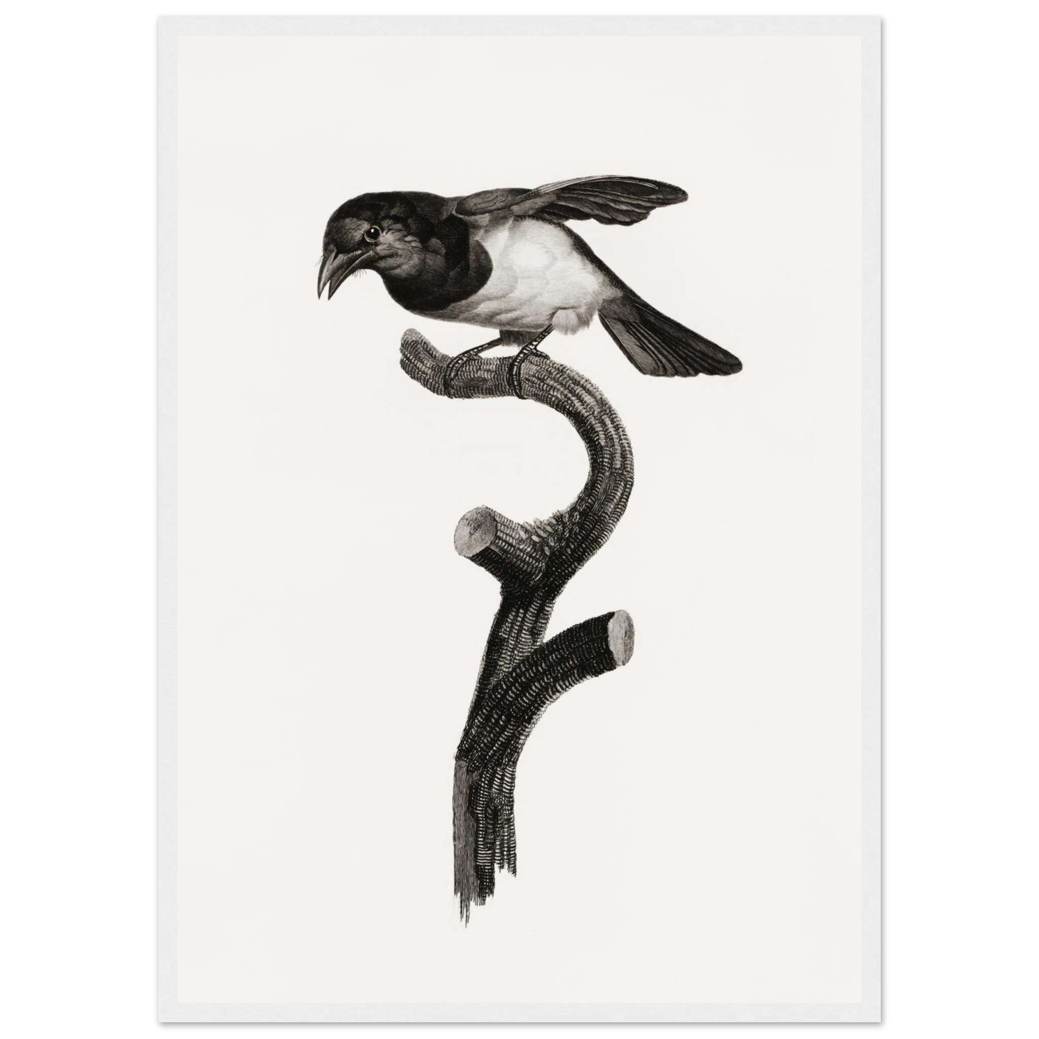 63824ebb-a0f0-4993-8b2e-76ba9b73e4e3