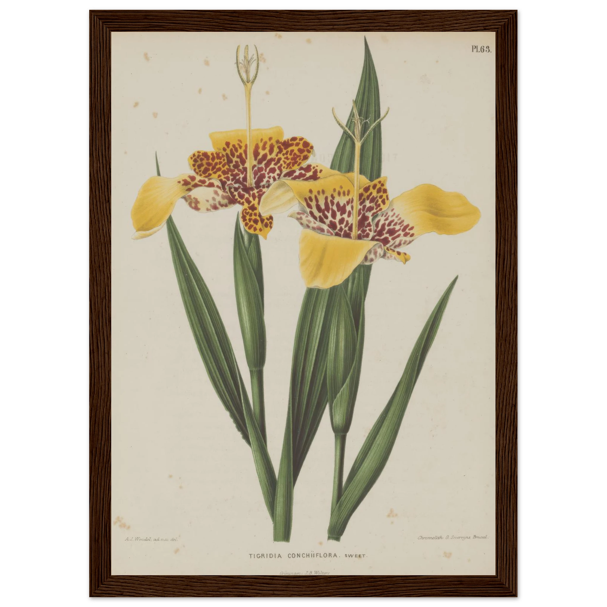 6399672c-993e-42a2-9a84-5e9a8bcb2b43