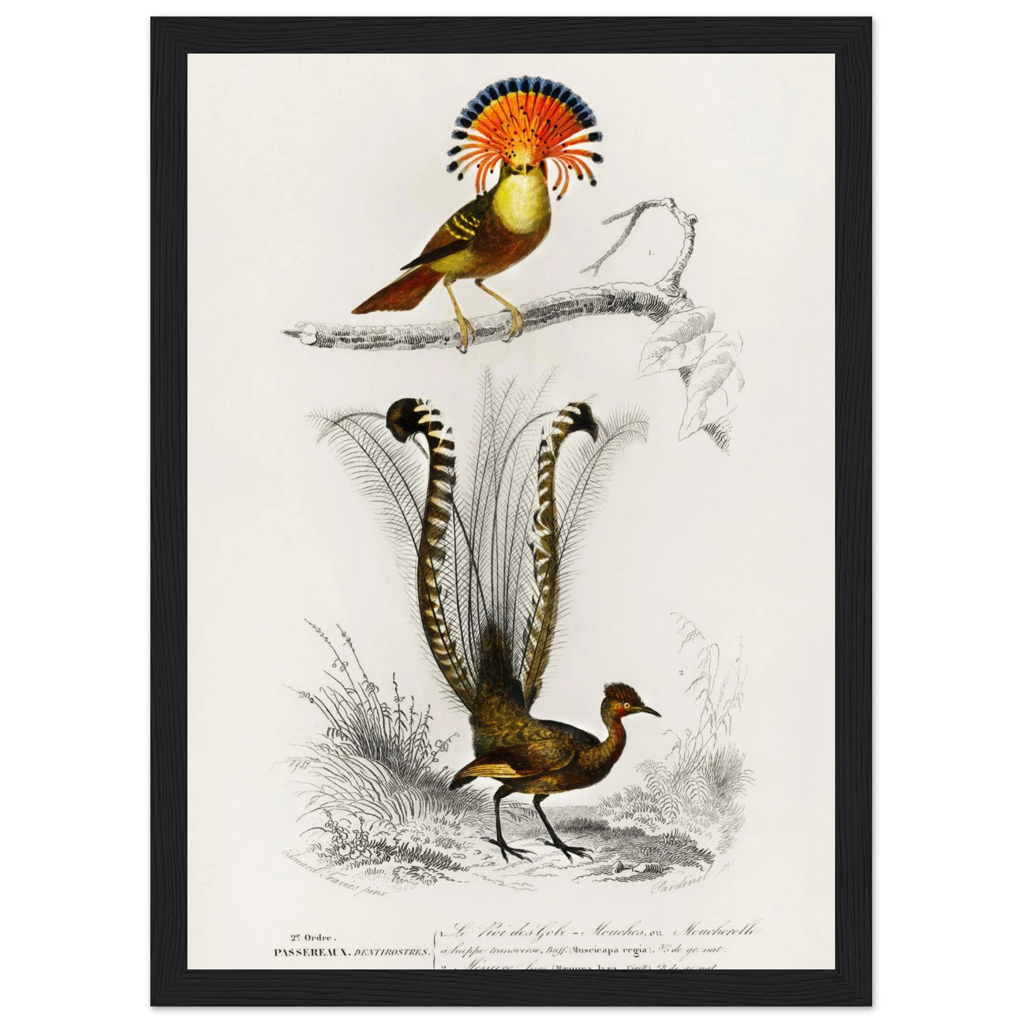 63d42f45-0a5d-46da-9d9e-2757db98570f