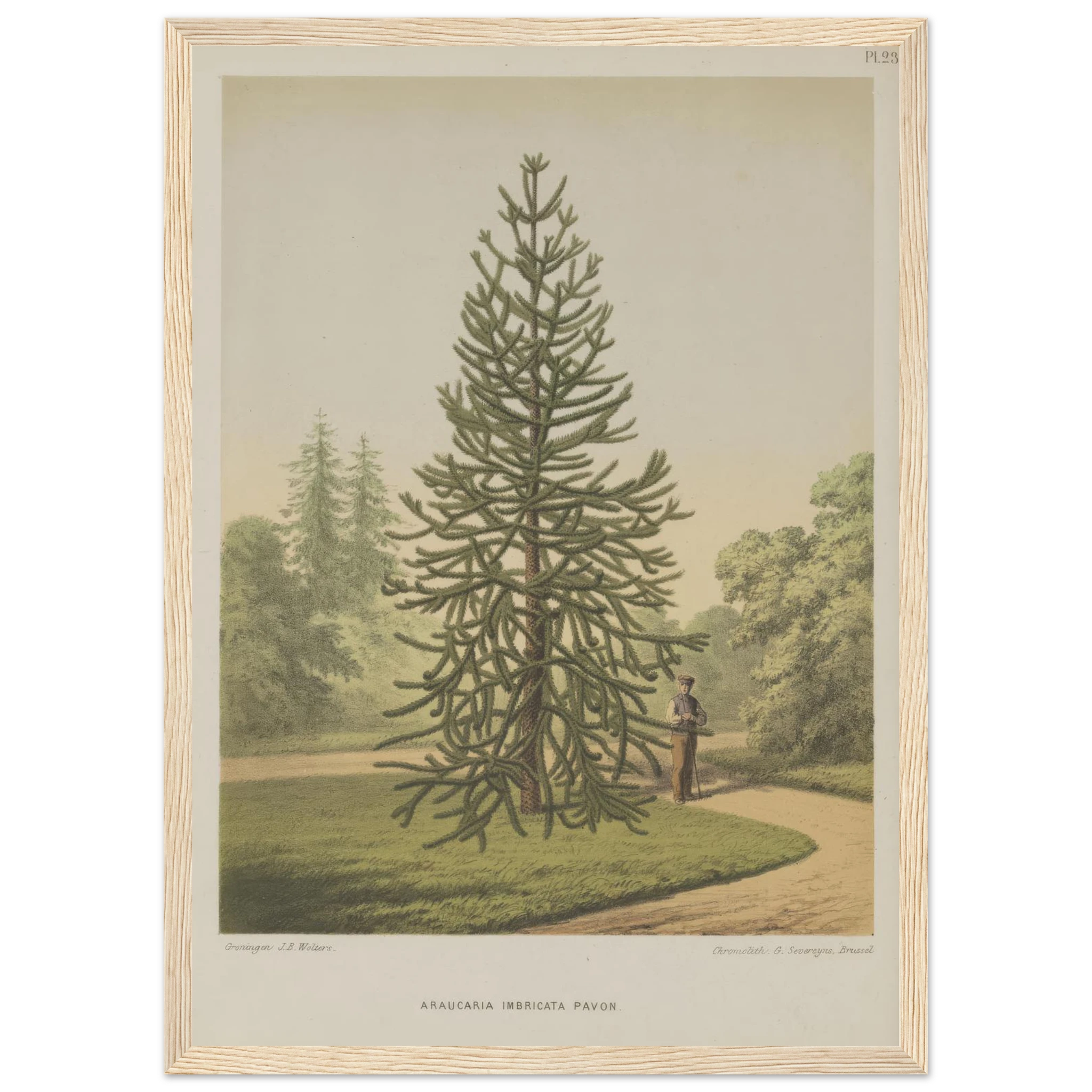 63fa47cf-d86a-46a1-a954-4f0ce994a4ba