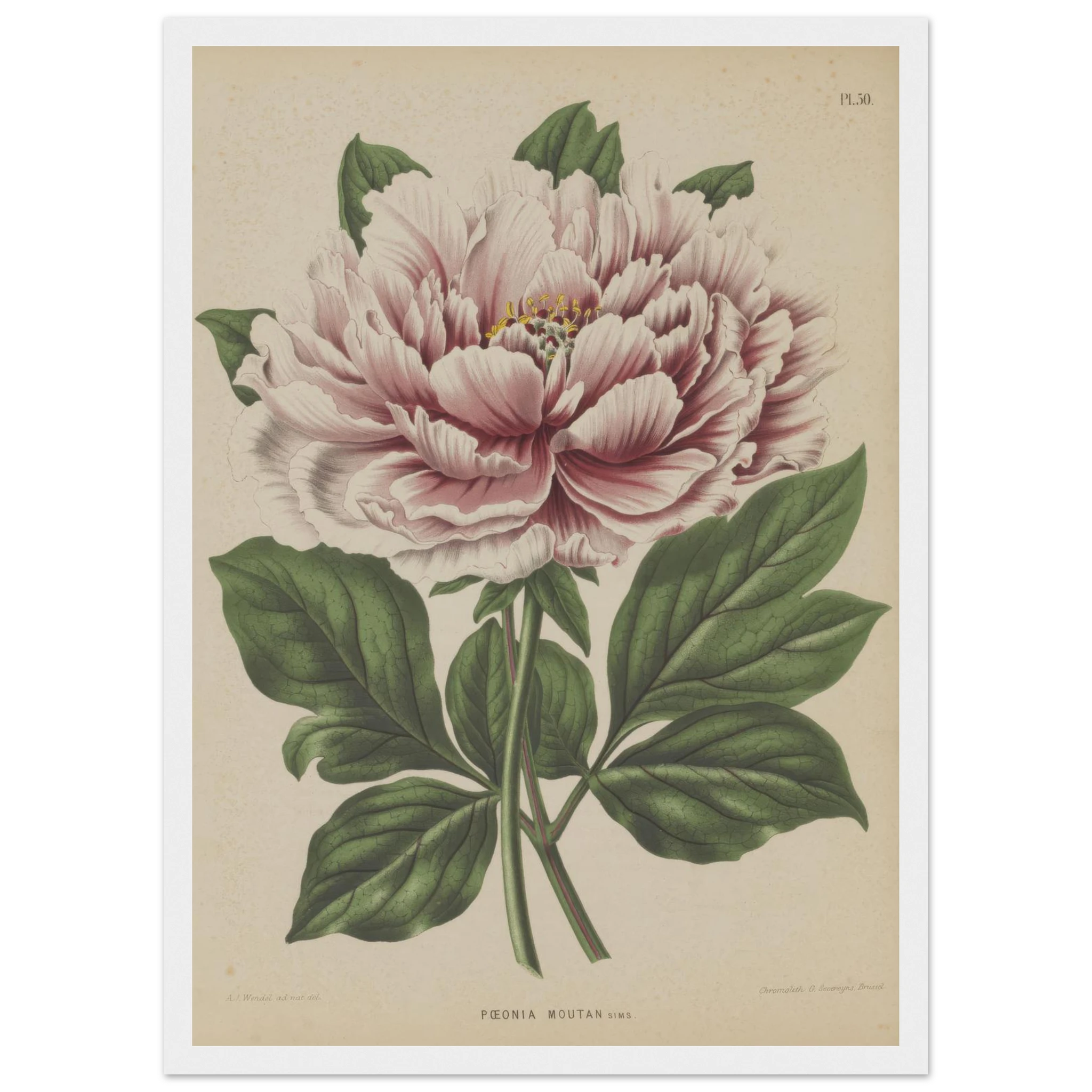 6432c796-d835-4c33-98b2-a9b24802f363