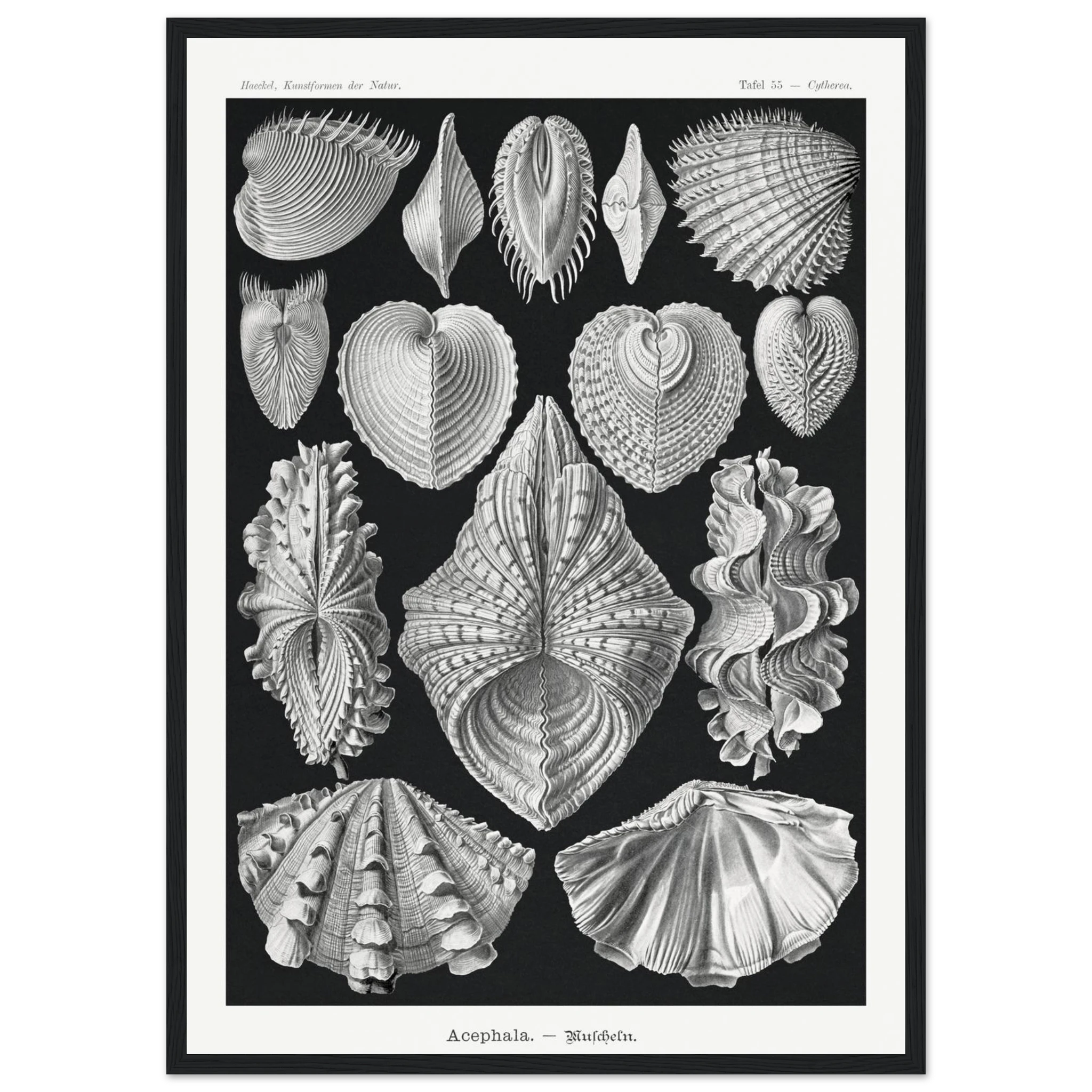 64a2747b-6ea5-4754-9941-fcb13884210b