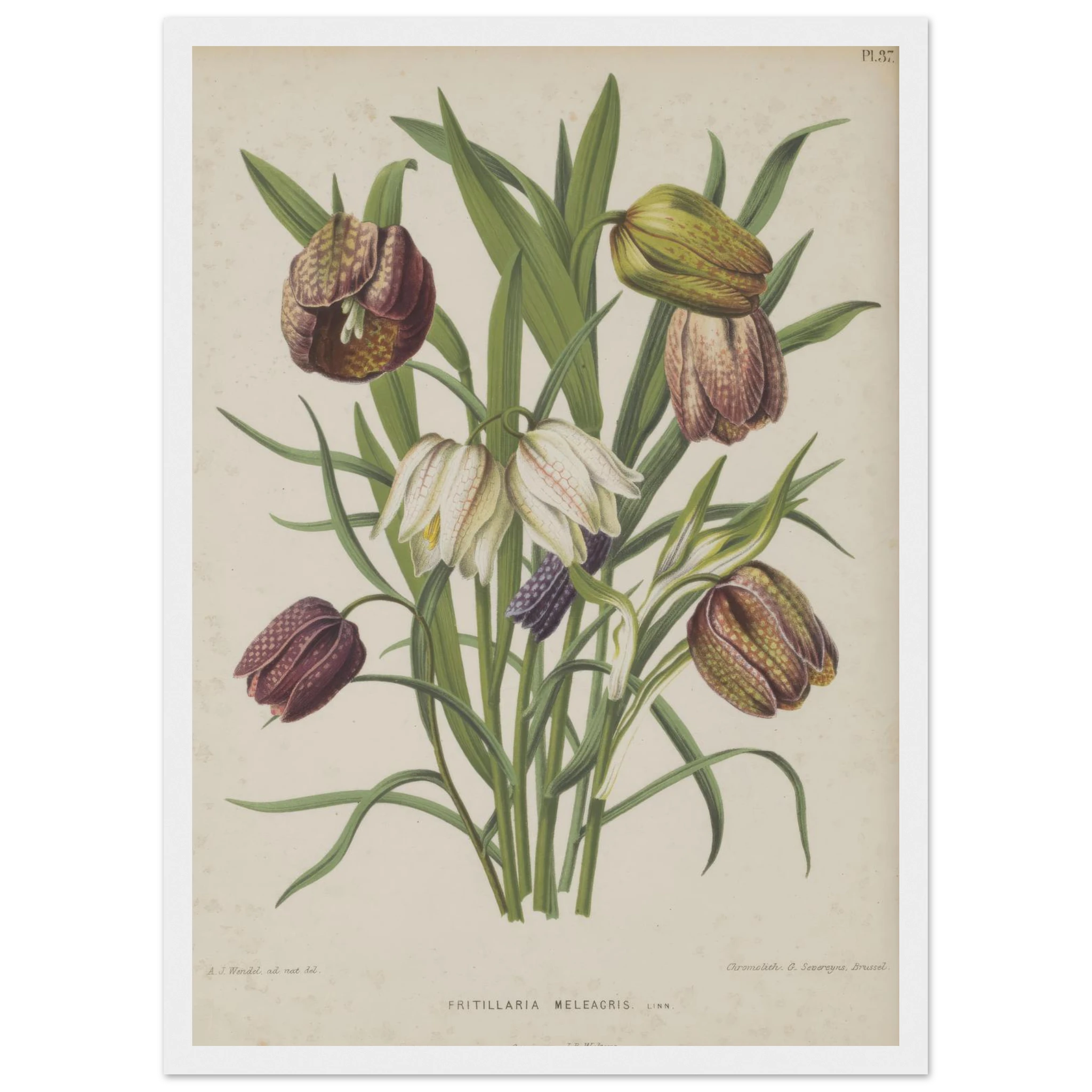 64be1d75-3bf6-45fb-80b2-29a52a50ffd4