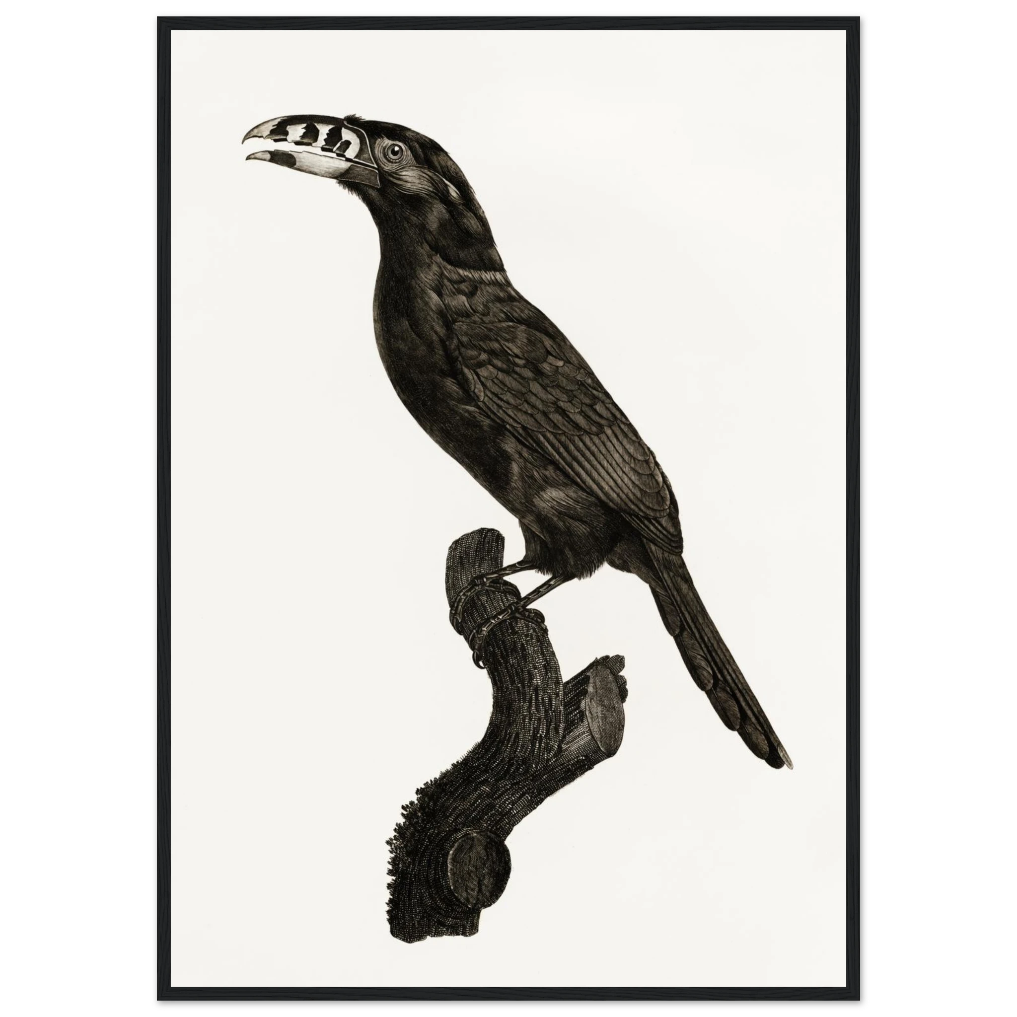 64da10fa-3086-4ba5-b7db-398186a4d10d