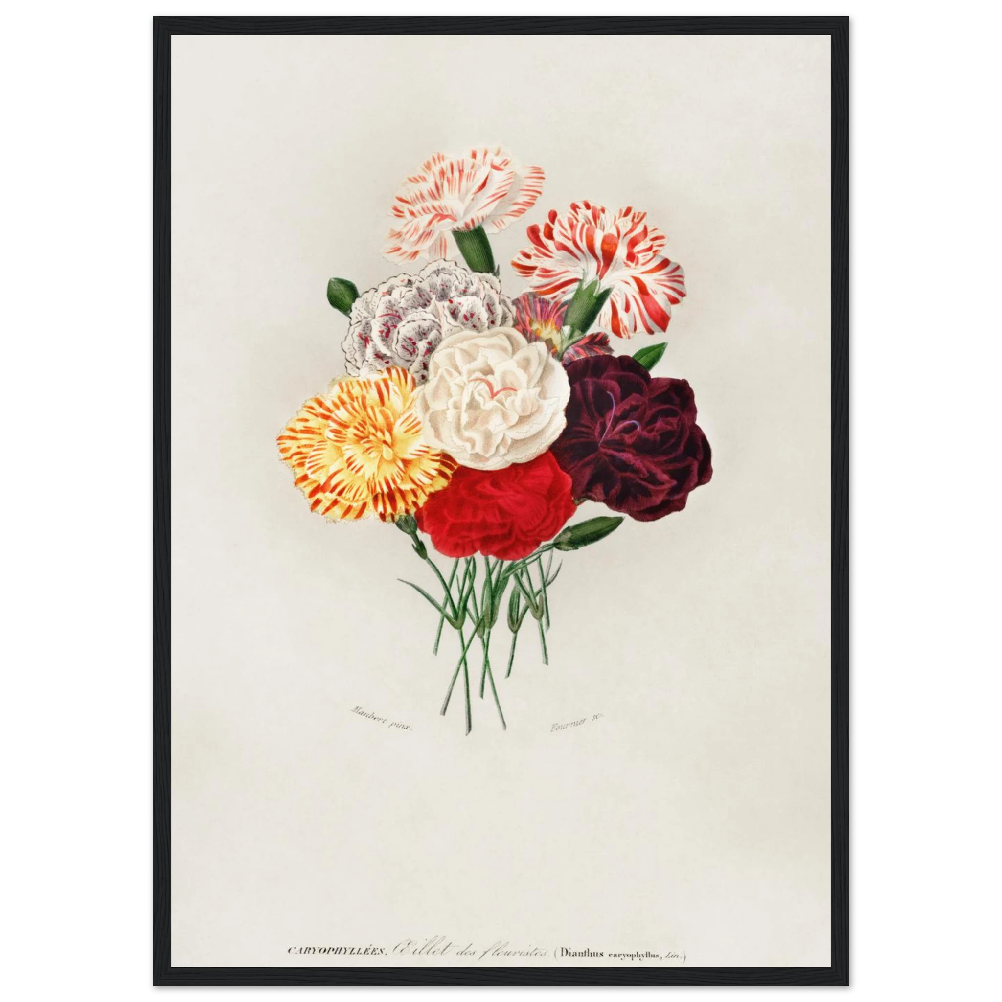 64e426bb-f153-415c-b69a-f3afa7882f1e