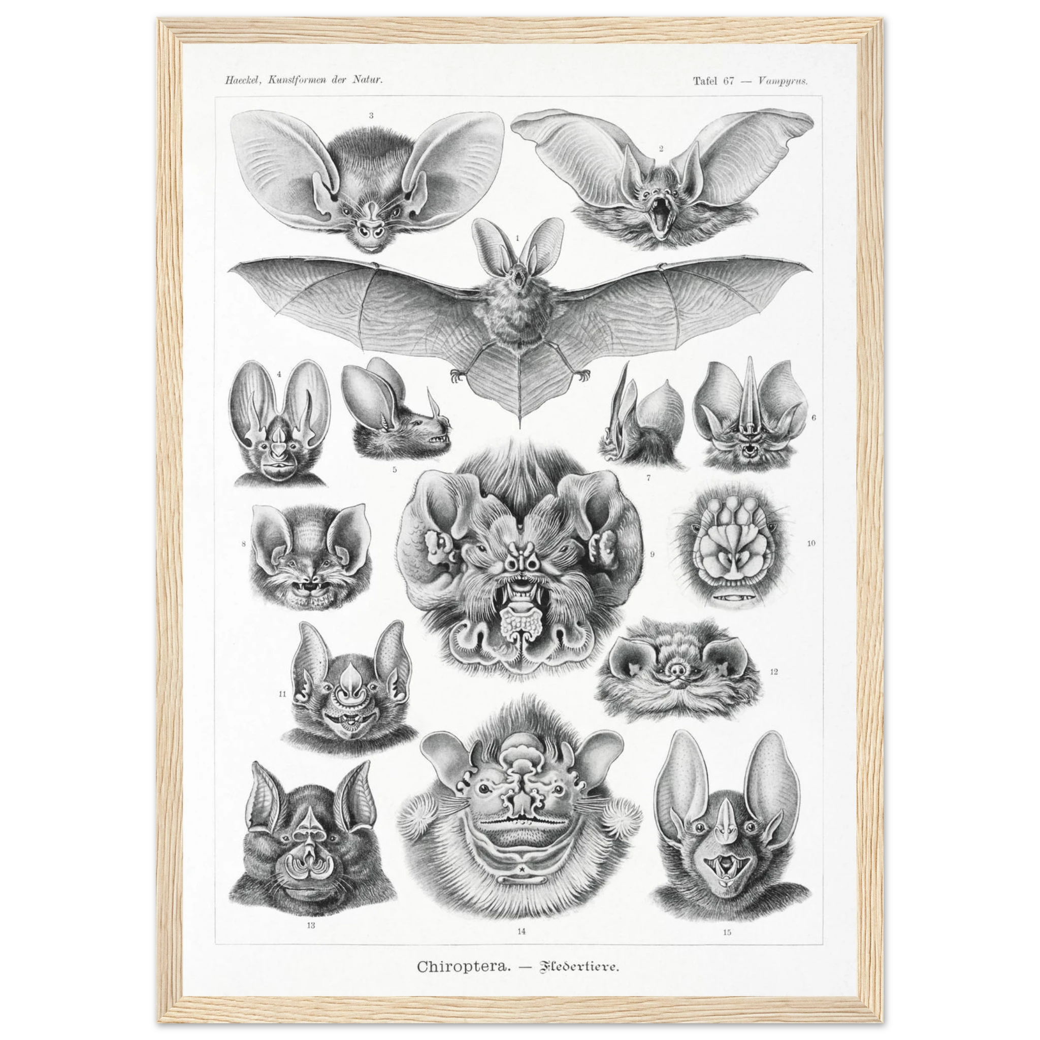 6505dfe6-9621-4693-bb7e-618ad1301c90