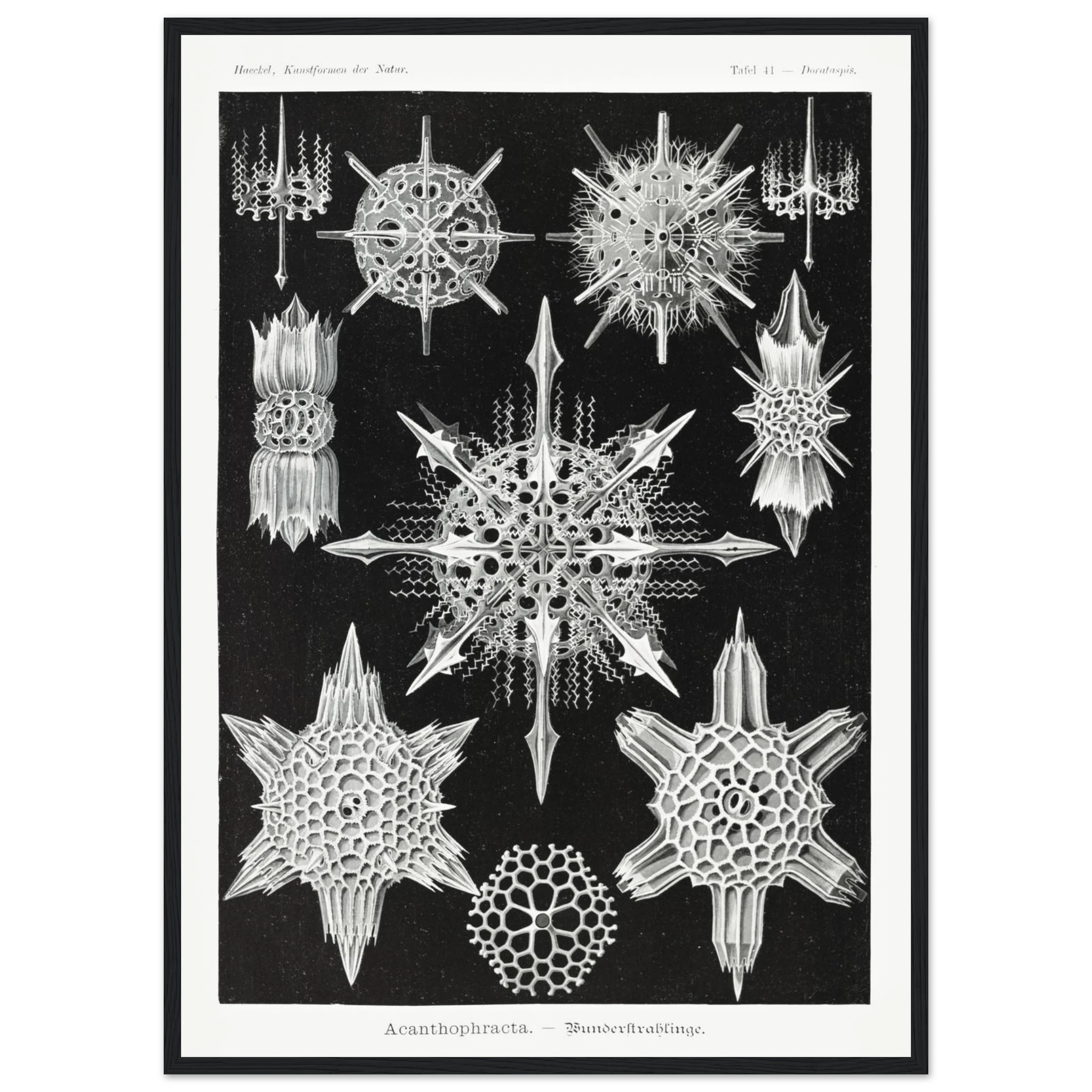 652ed876-2f21-4944-8082-d89bfa67593b