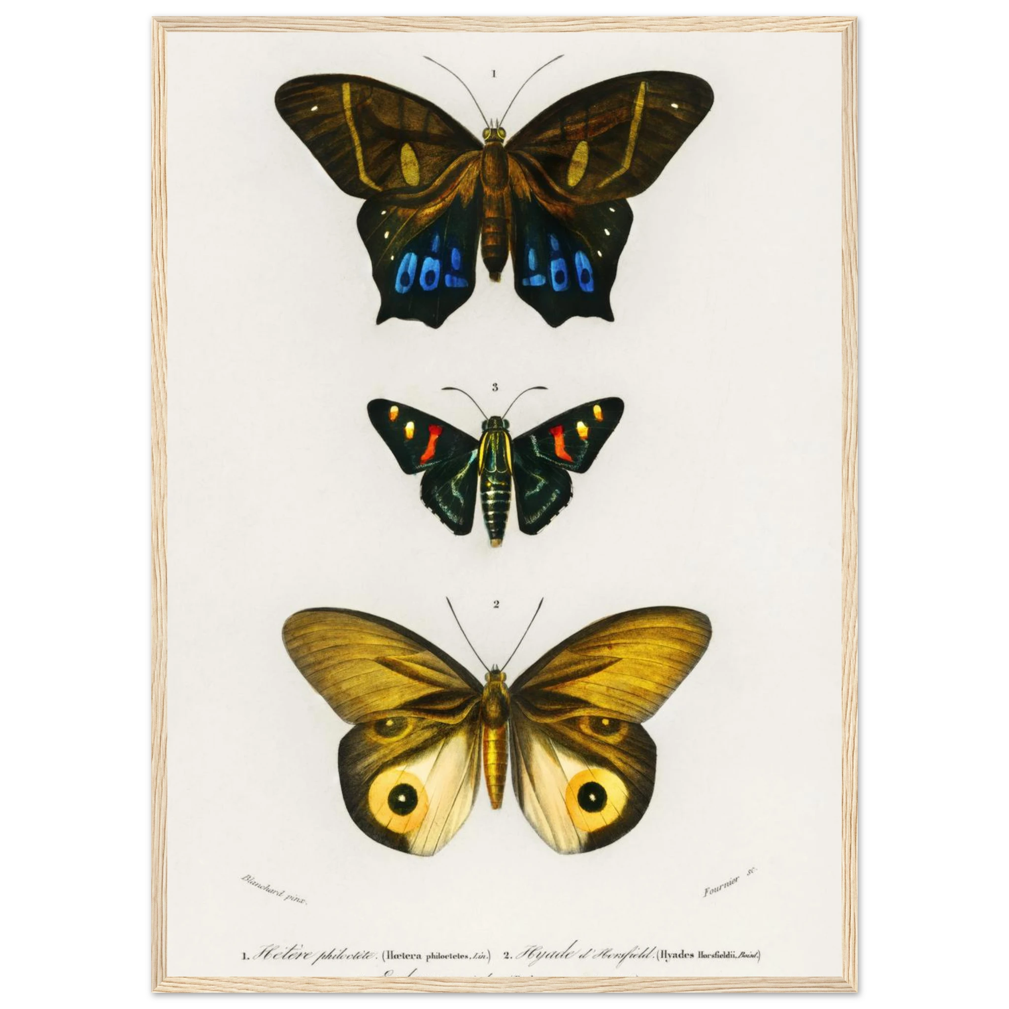 6531448e-6293-4976-98d9-d5c3cc298e0b