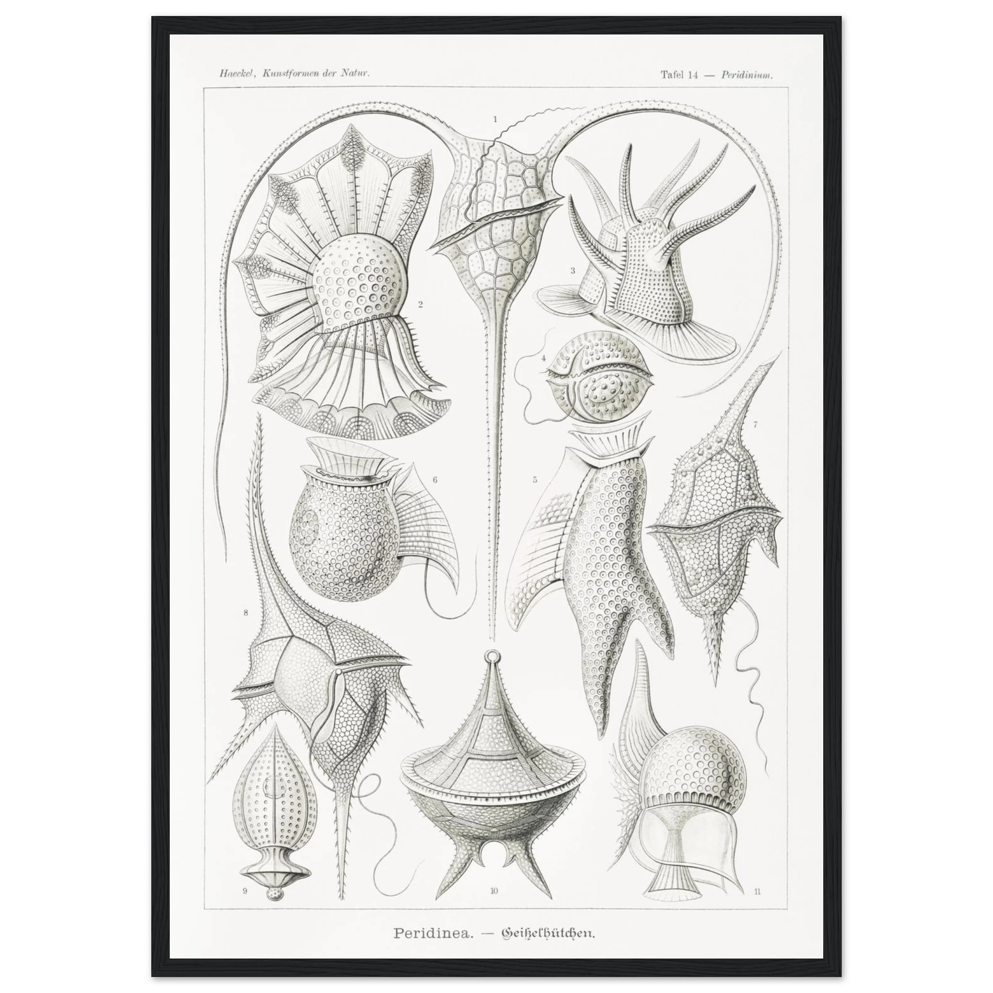 6539de87-555e-4b43-9841-52236c0e0ca3