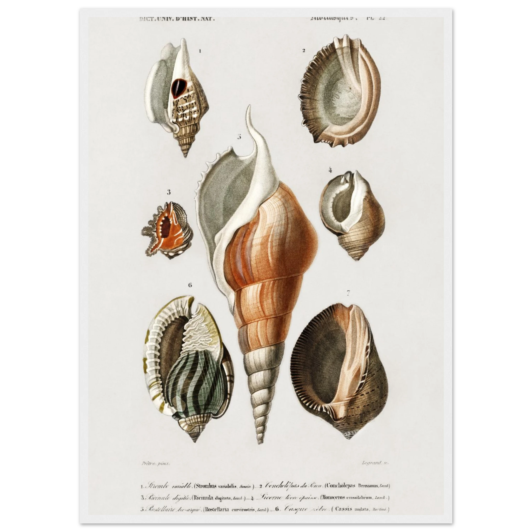 65717bd7-921c-48fc-8388-0e956e8d8e73