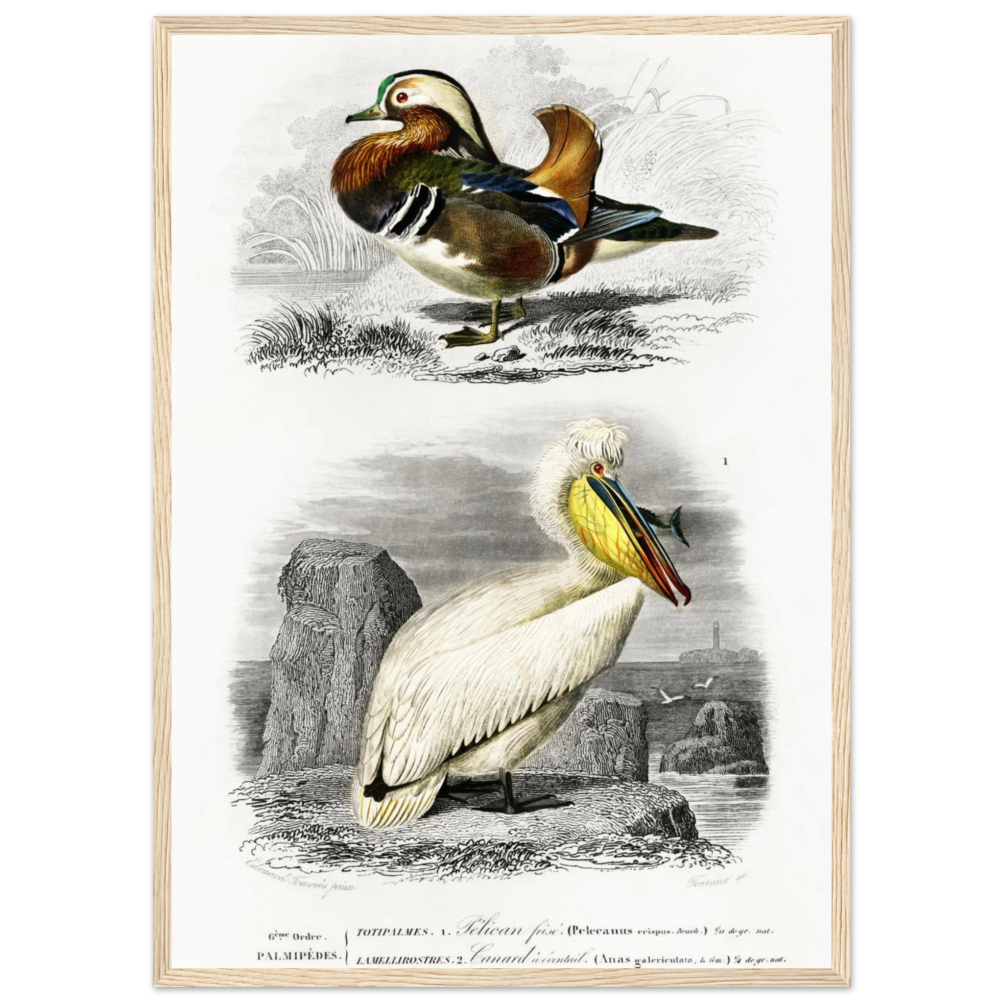 6583415e-f506-4a5a-bcea-f6f812039a99