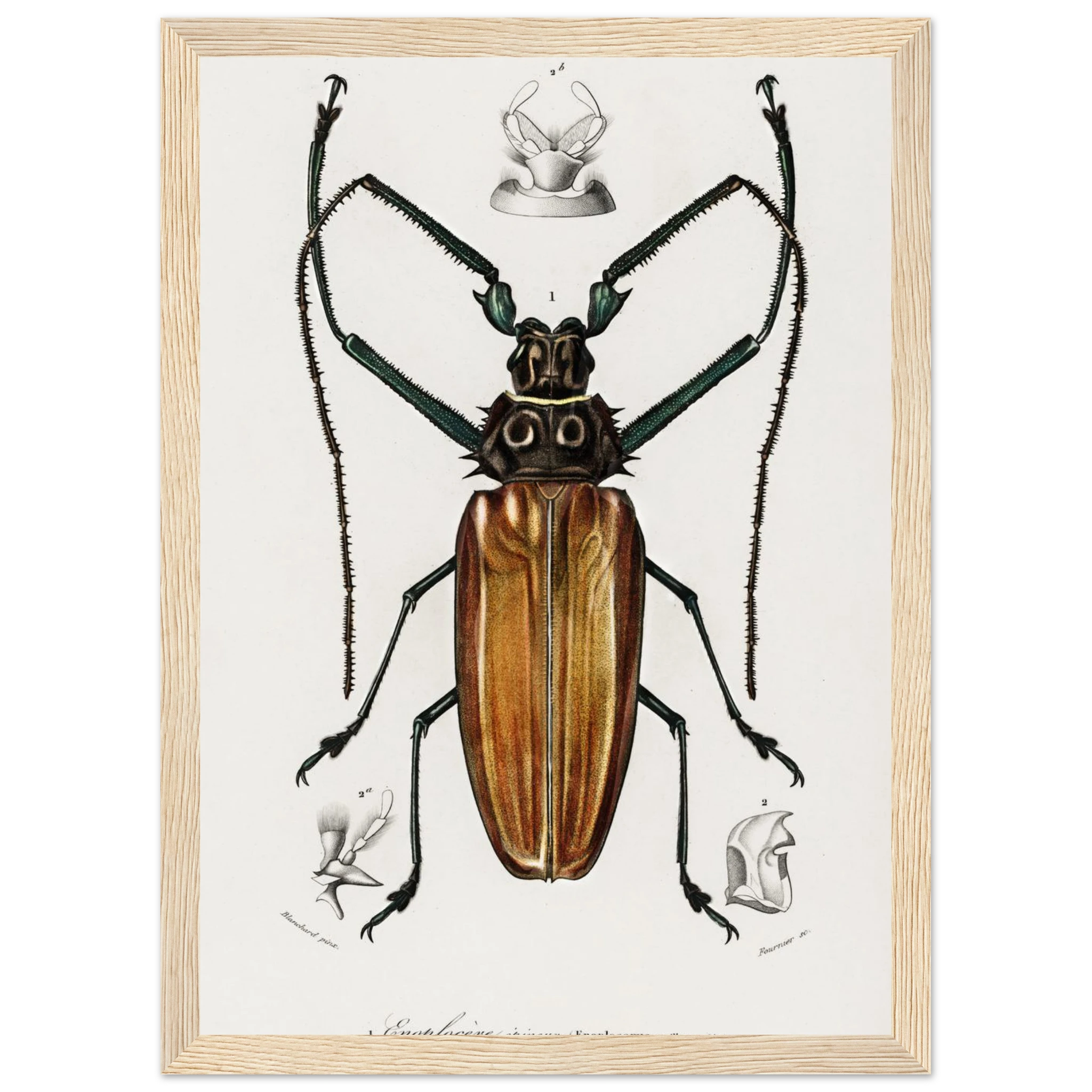 65ebb090-fcc0-422f-97e2-485747ad2b63