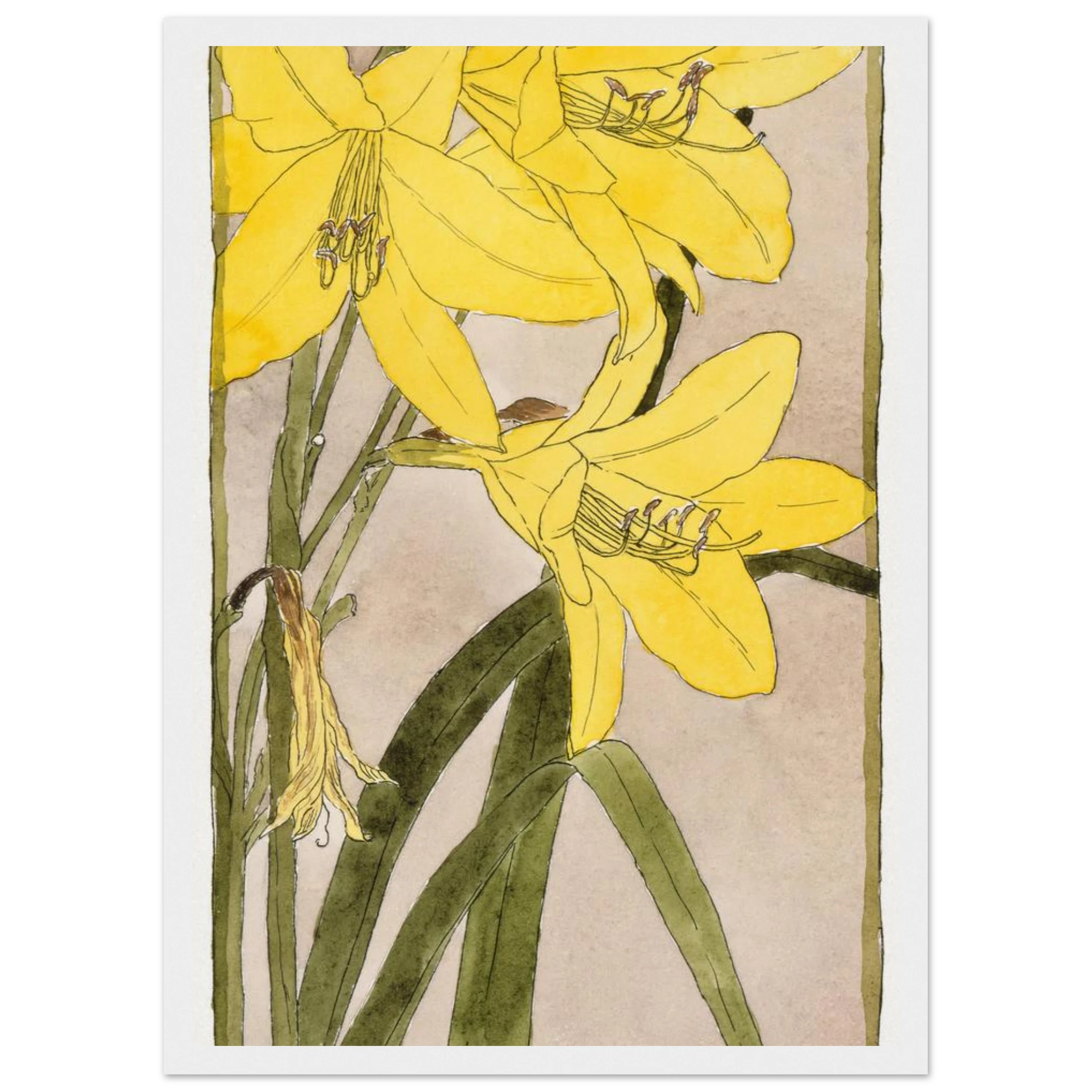 66846782-ce1a-4f10-8247-a2505557db16