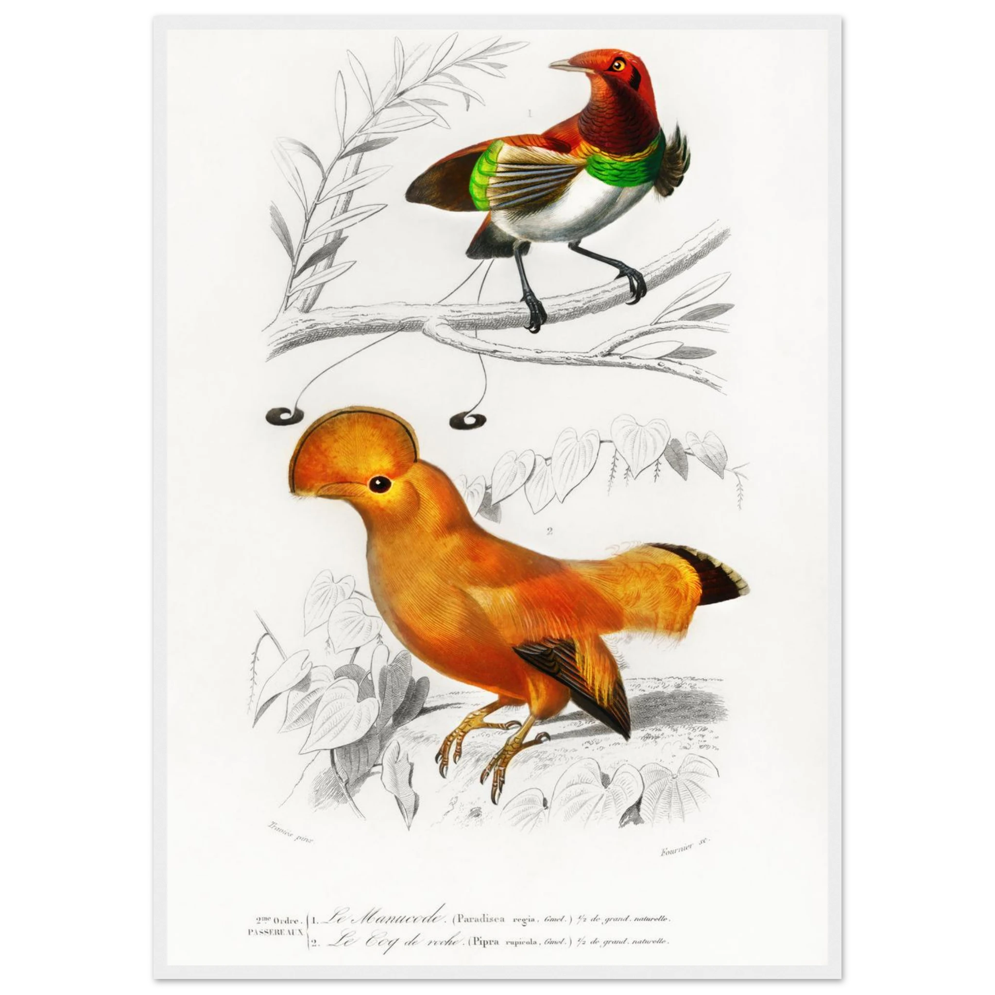 669b8ec0-4069-4c31-a590-a9c89c3a8322