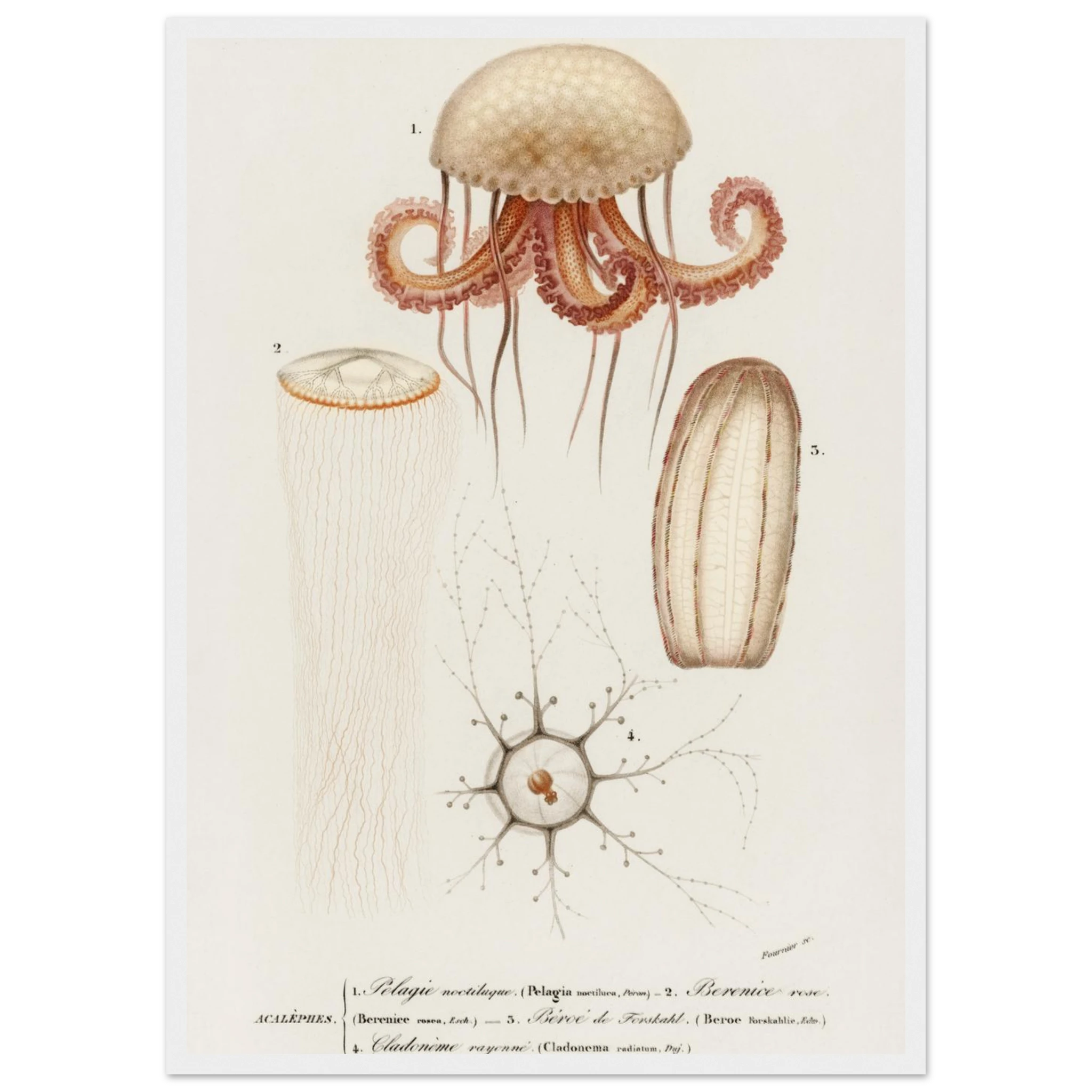 66b46d25-a1f4-407a-b13d-bf886eb617bf