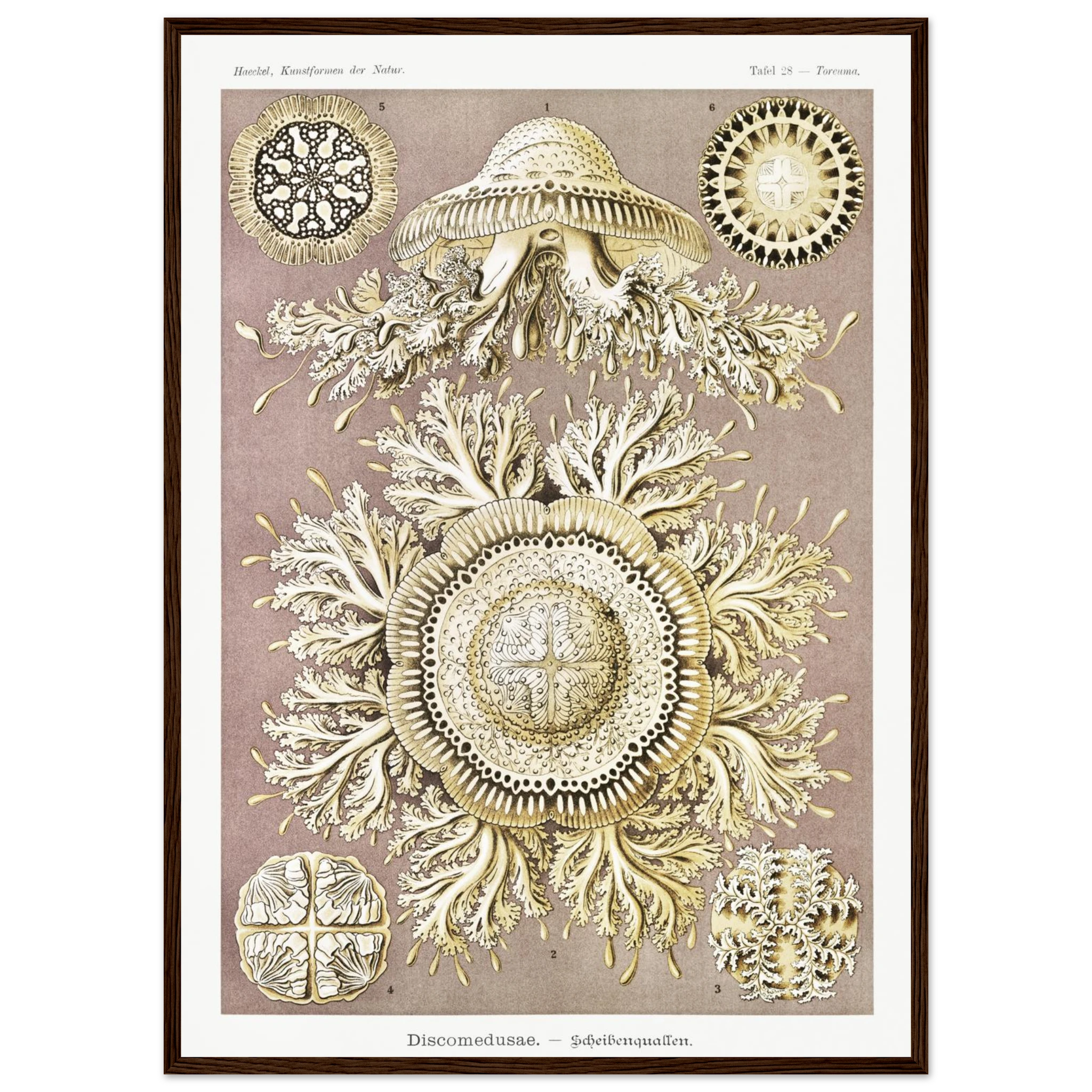 66c714eb-5d29-4e56-9b8f-571ad53b048e