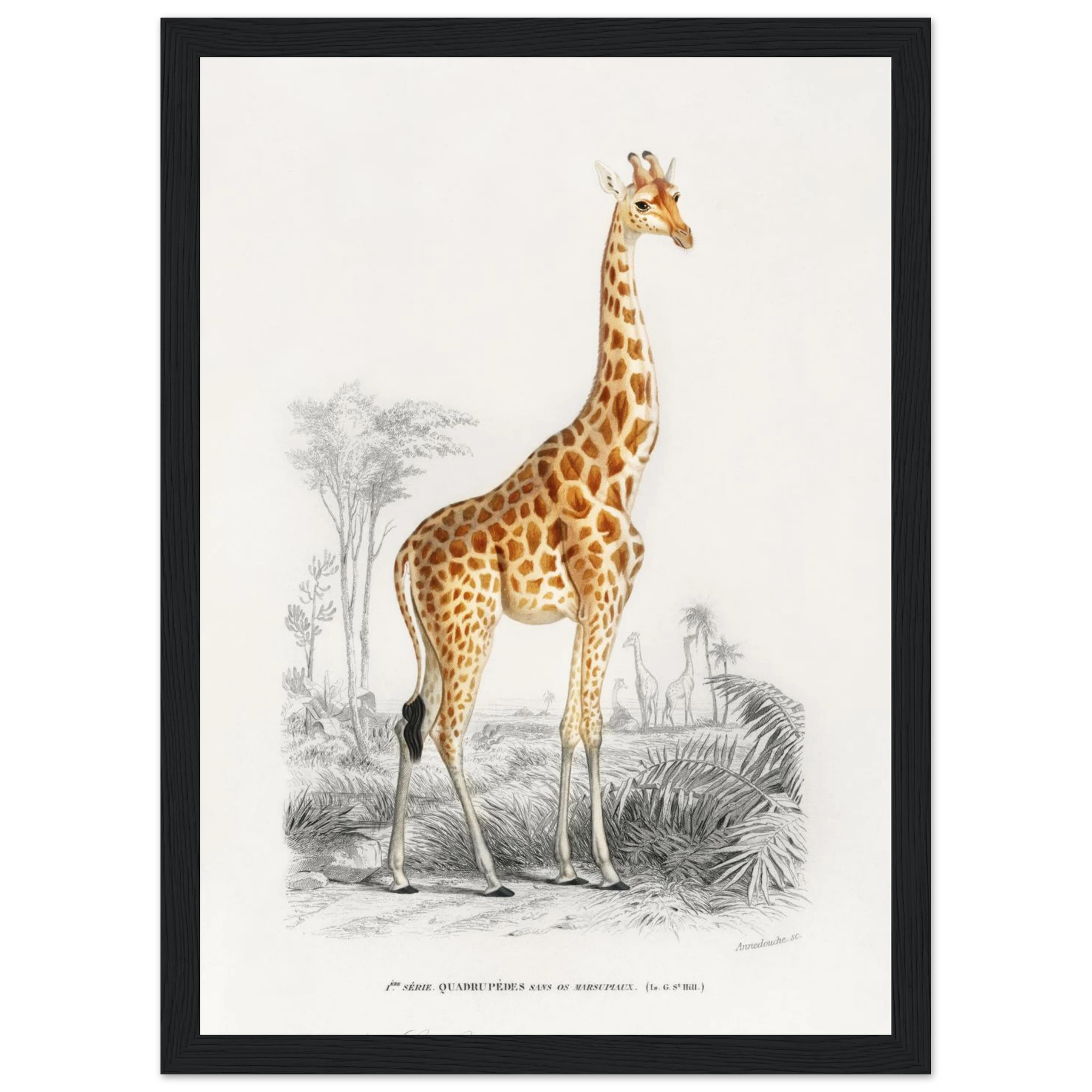 66fcd13c-eb6c-4398-95b9-44fb4b17cfc9