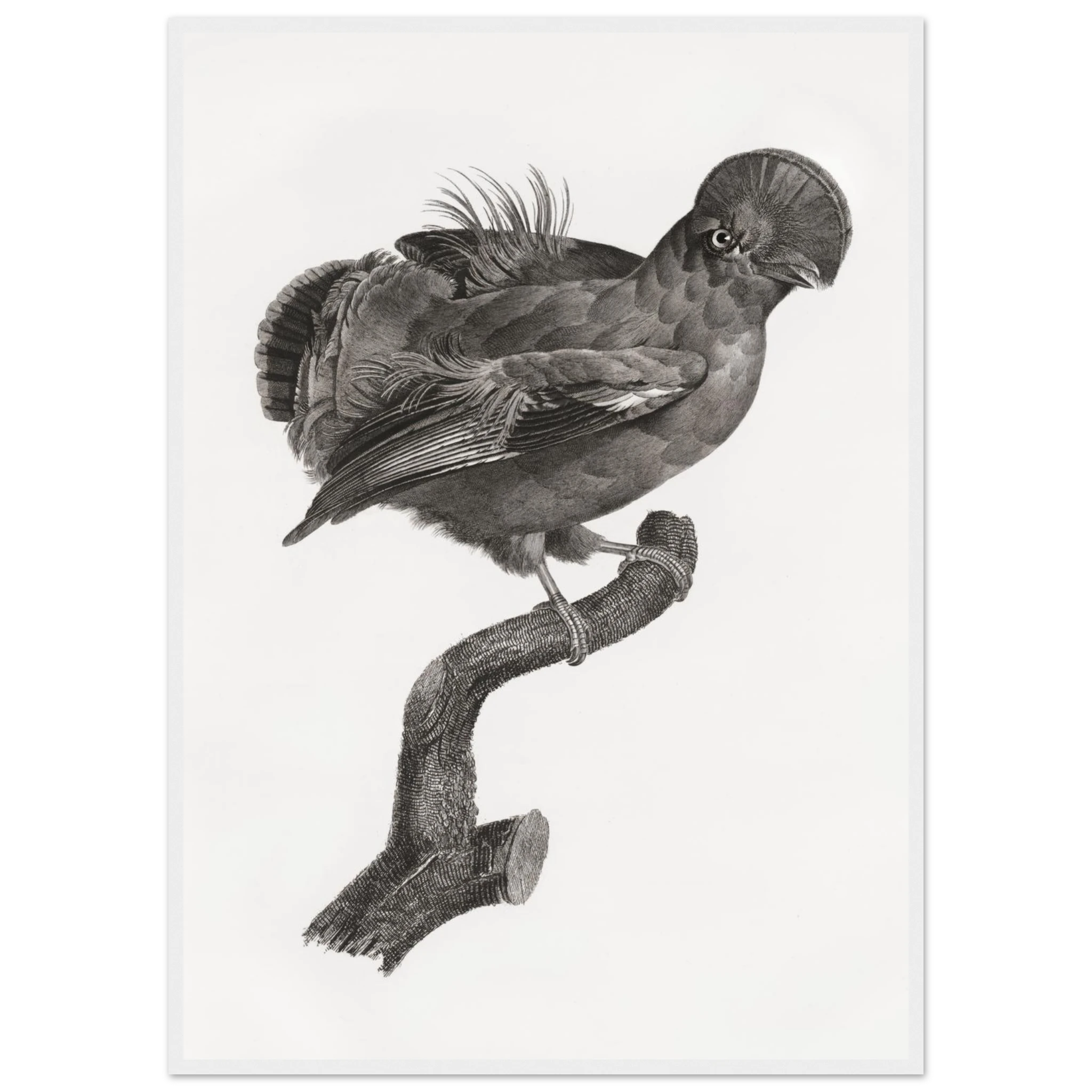 67168496-79ee-40c4-83b4-115914943f4b