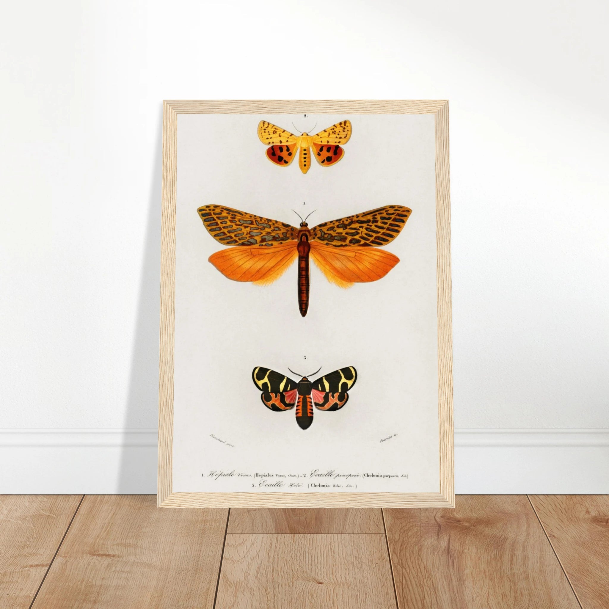 672d7634-ef87-4ae2-95e2-b8f3fe6ffece