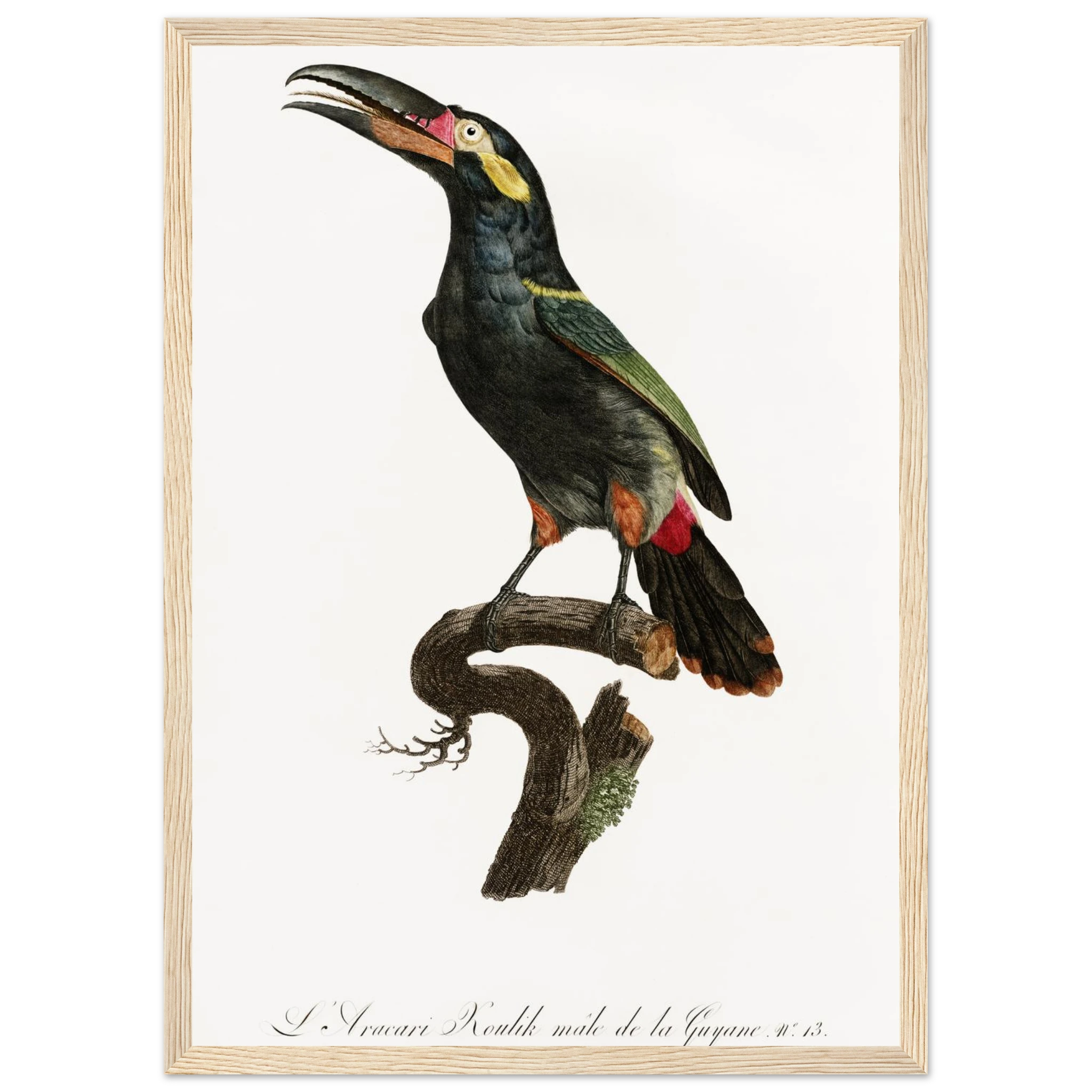 673ff27f-c2db-4493-a03a-1e8496657b42