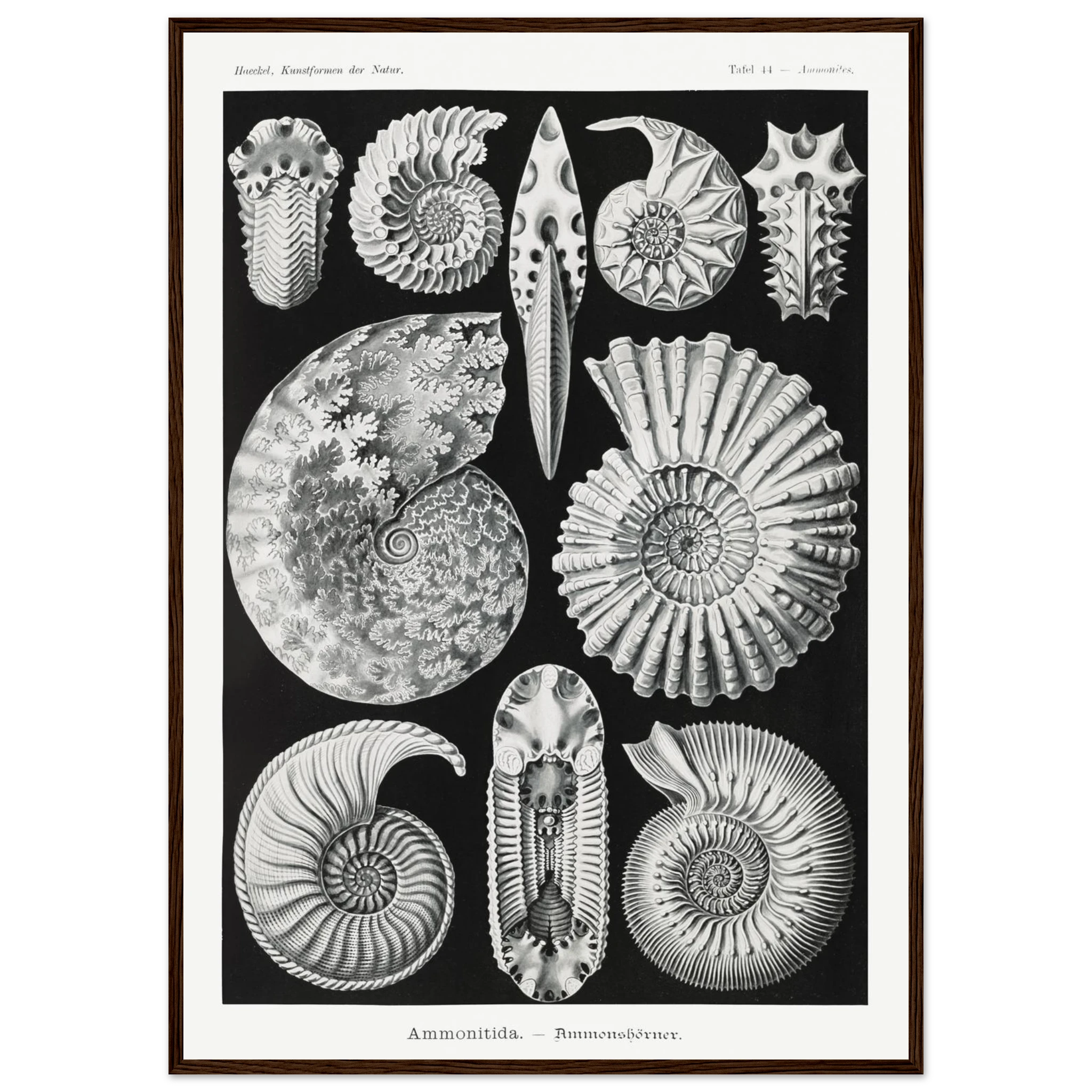 6788e119-18a0-49bc-af51-082a1ae0b0a4