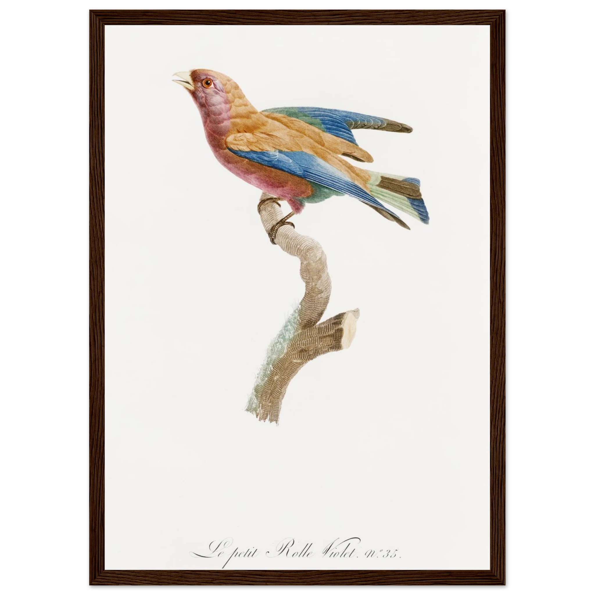 67ac014d-0b6a-462a-942b-5ec257509610