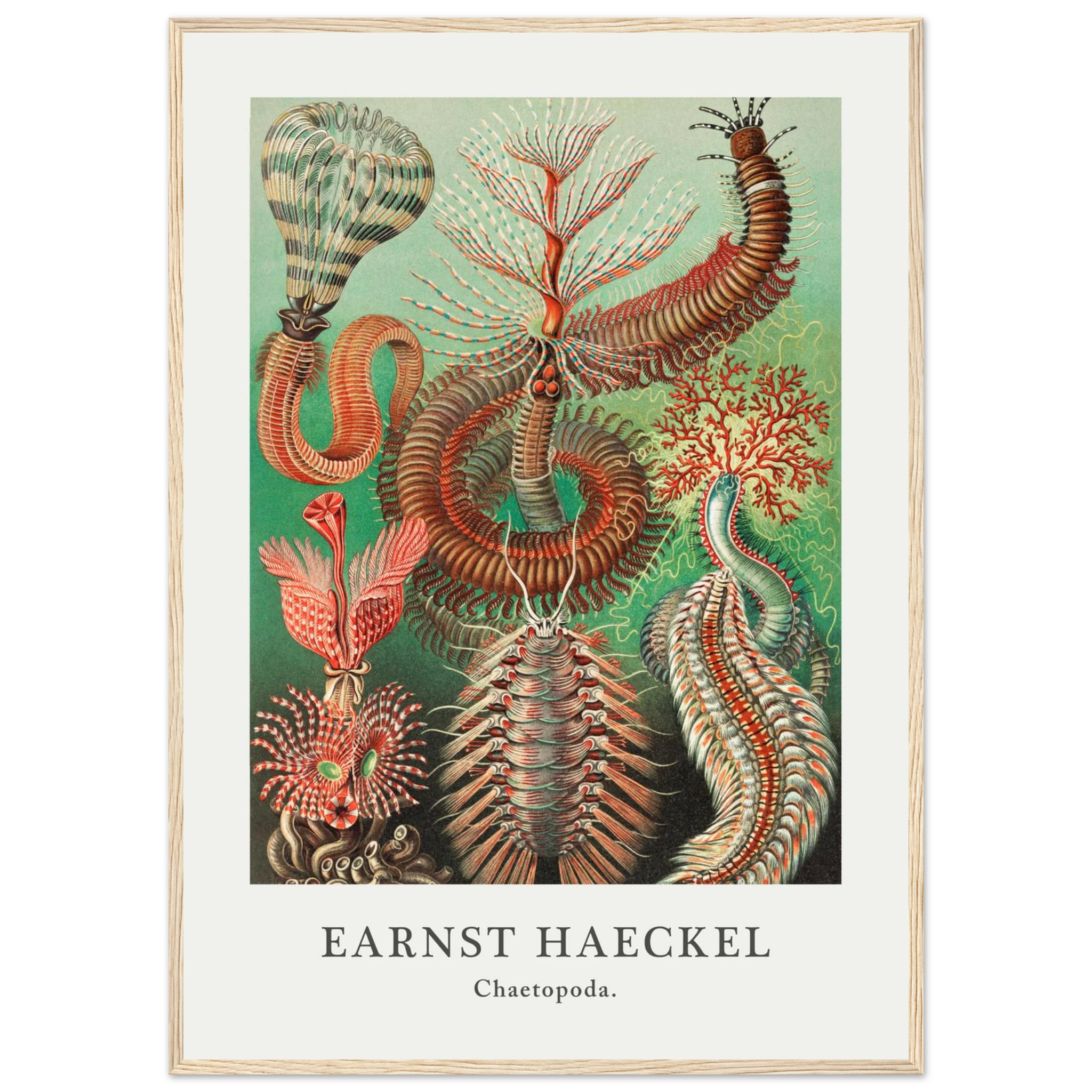 683f6507-bd93-42e1-9af5-3ecad0db1c96