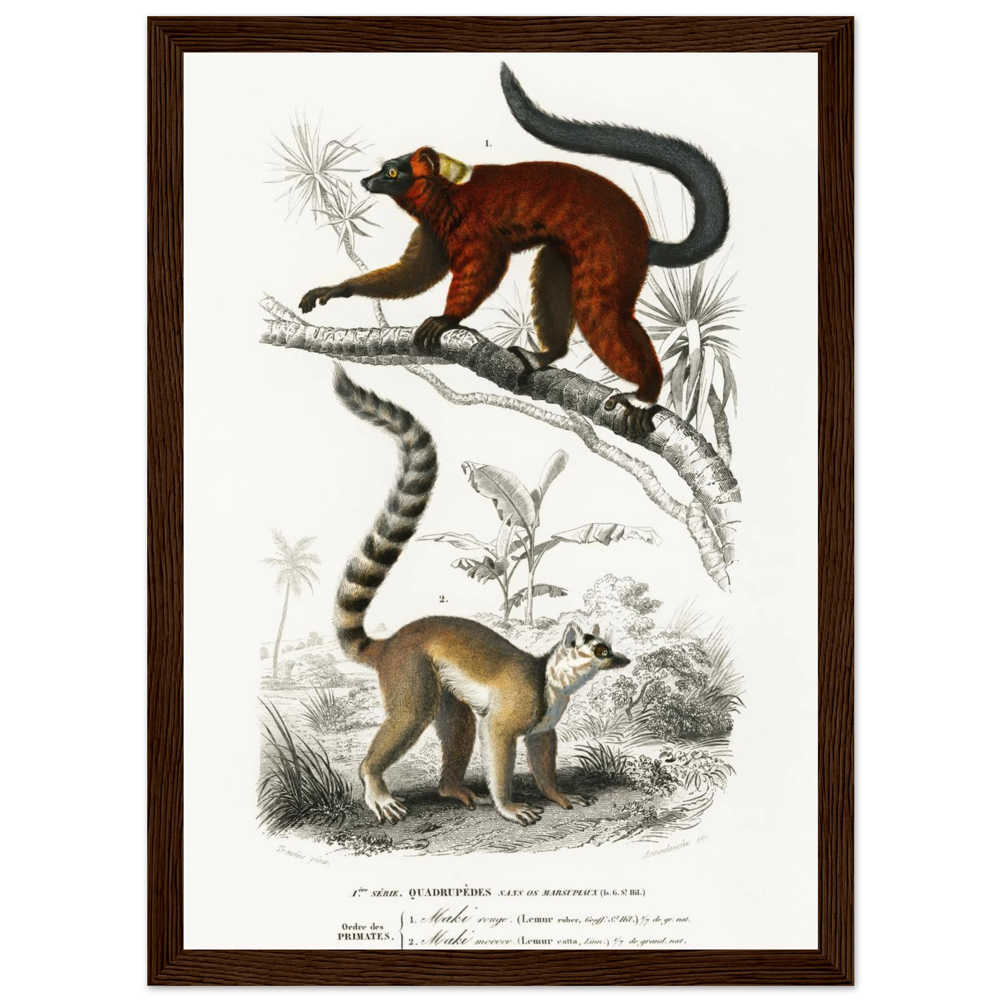 68b40c41-88c5-4ca7-ab04-e962d79a25f1