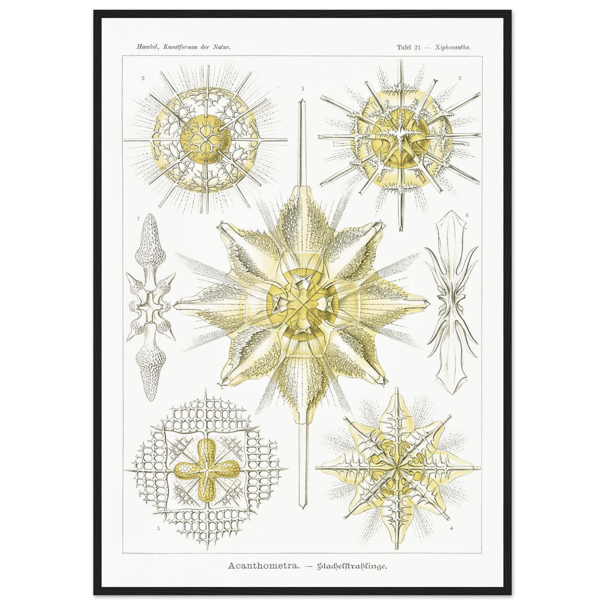 68d121ce-8553-48fd-b6a2-1892254da907