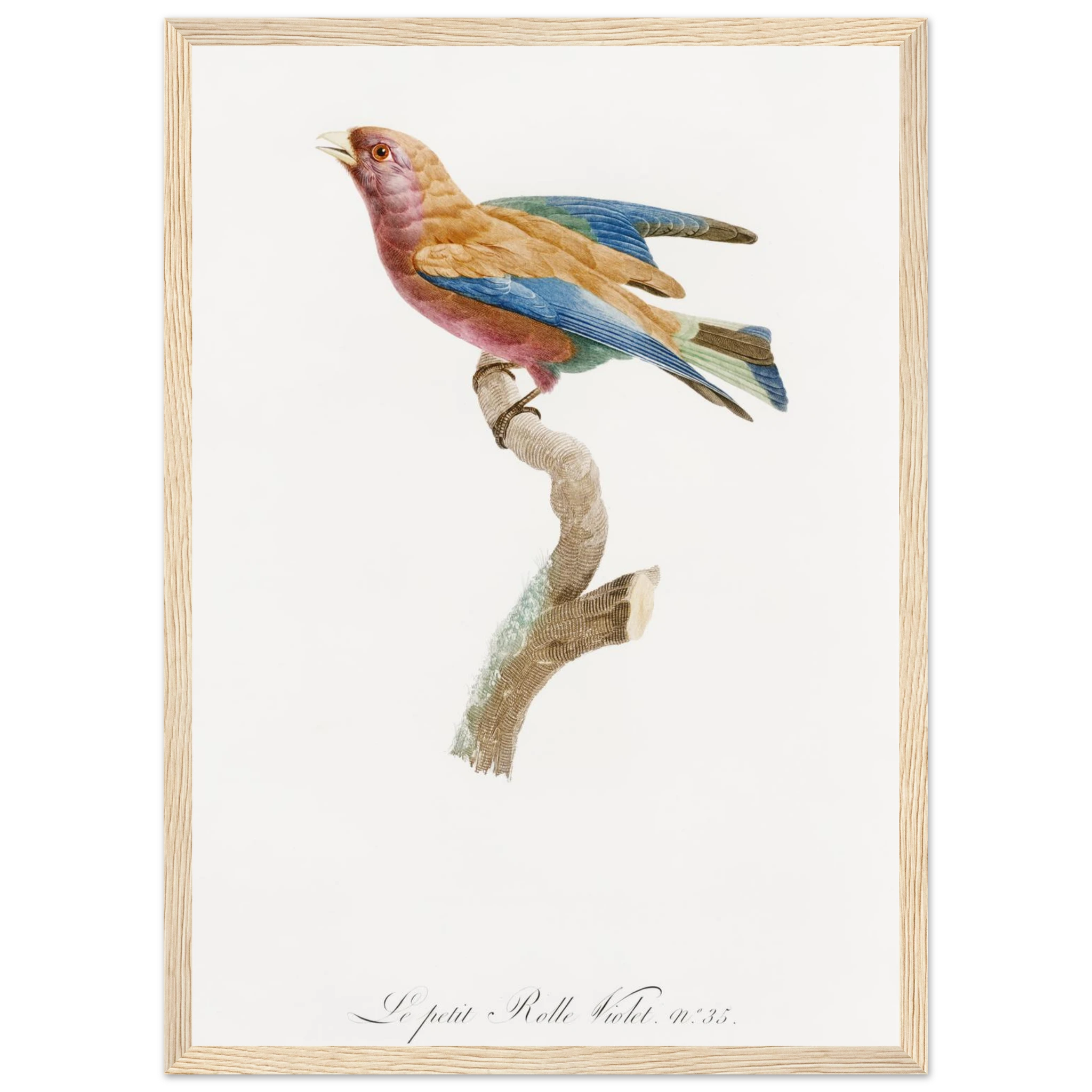 68ff2aee-2d30-4b45-86b9-36189f45f5d6