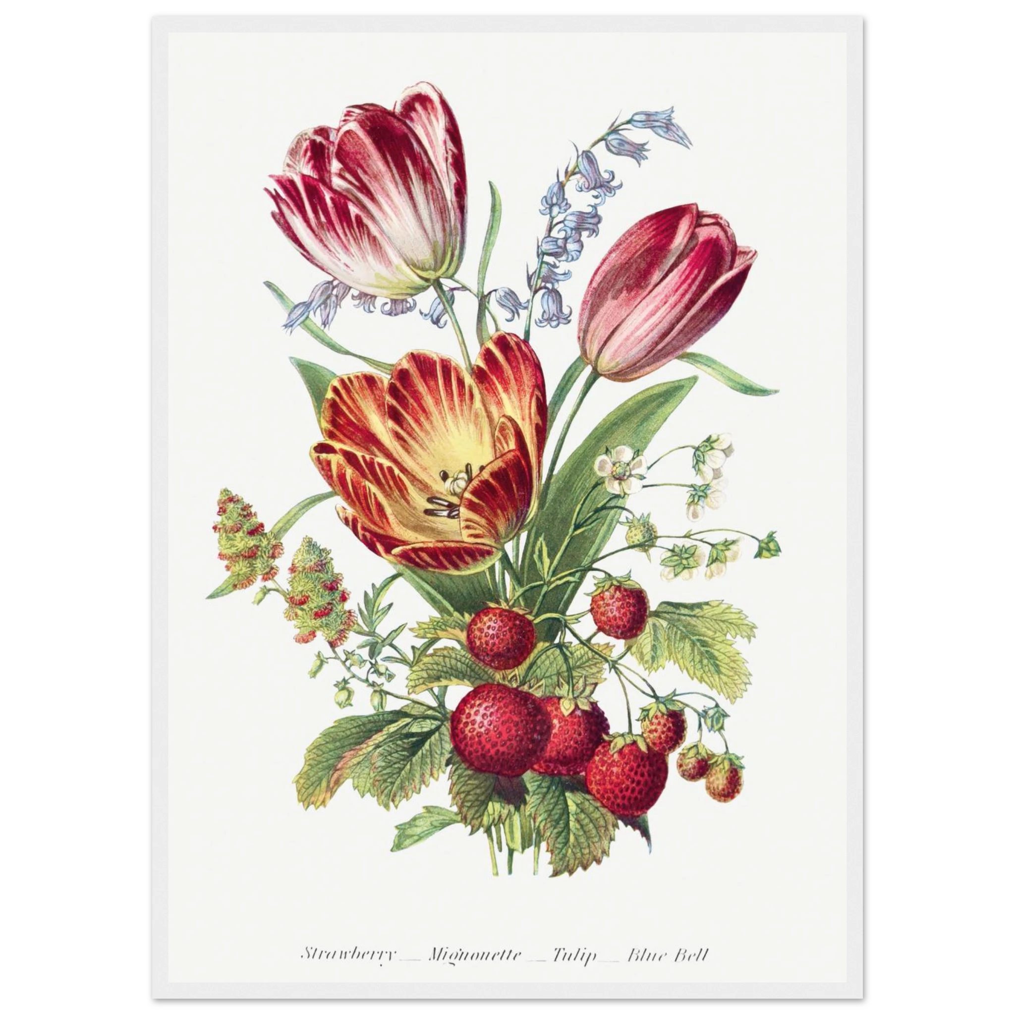 69105e80-7c4c-426b-b939-b51c818d3ff6