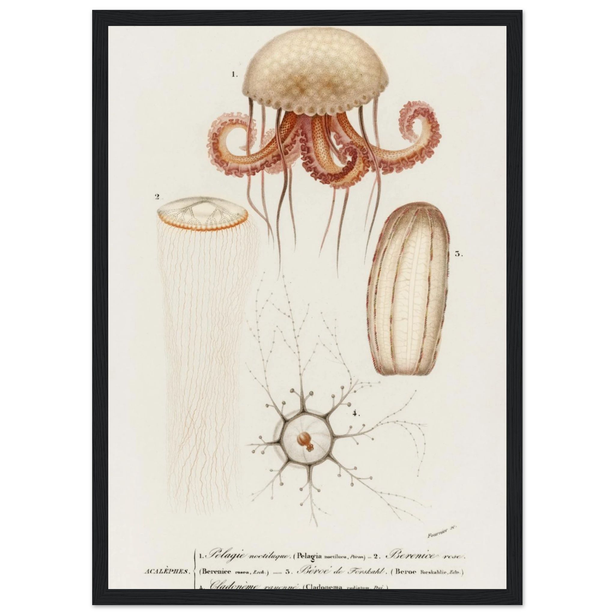 6942e345-045e-4310-8279-872588656349