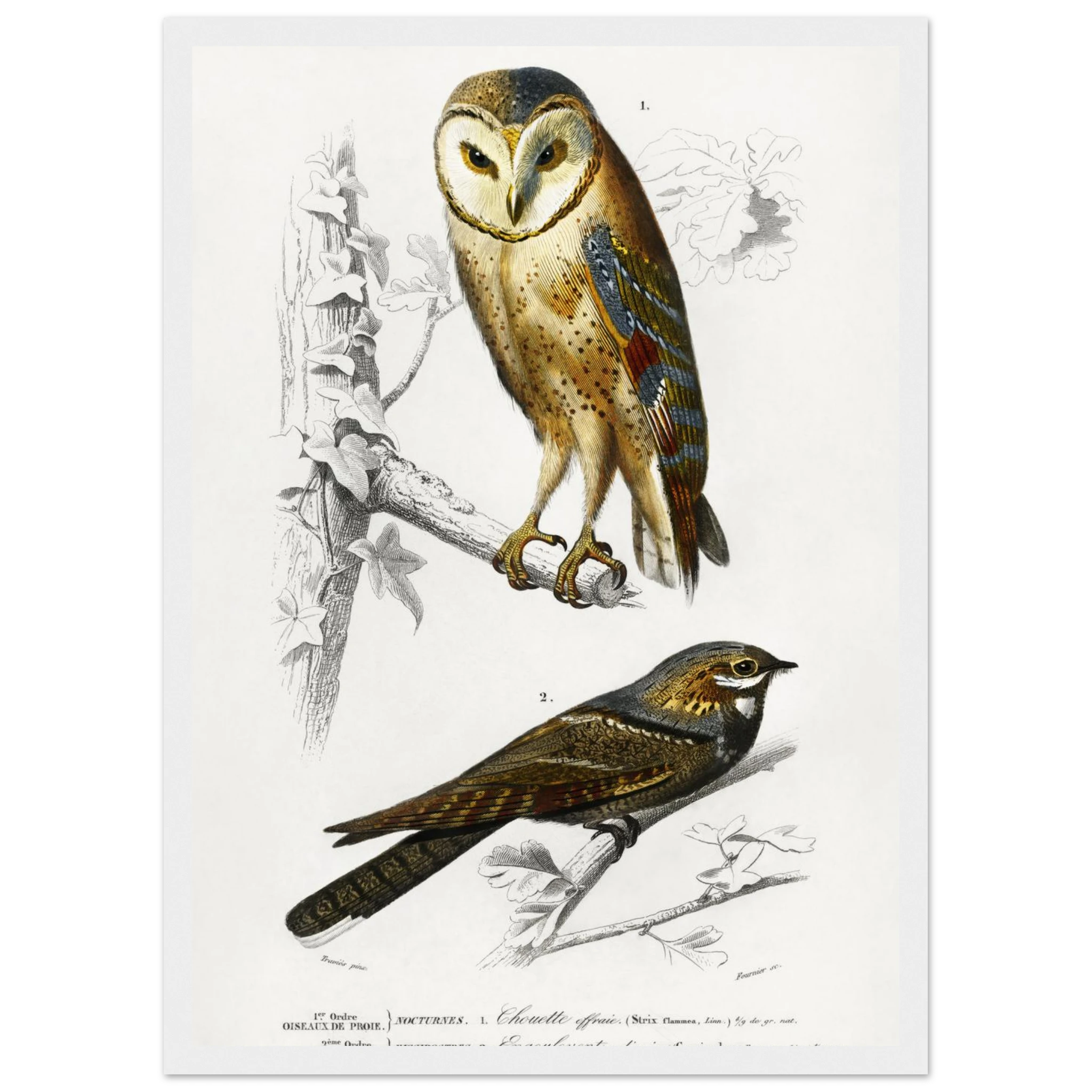 694544d0-bece-44ef-8ff7-6595f2cb7e00