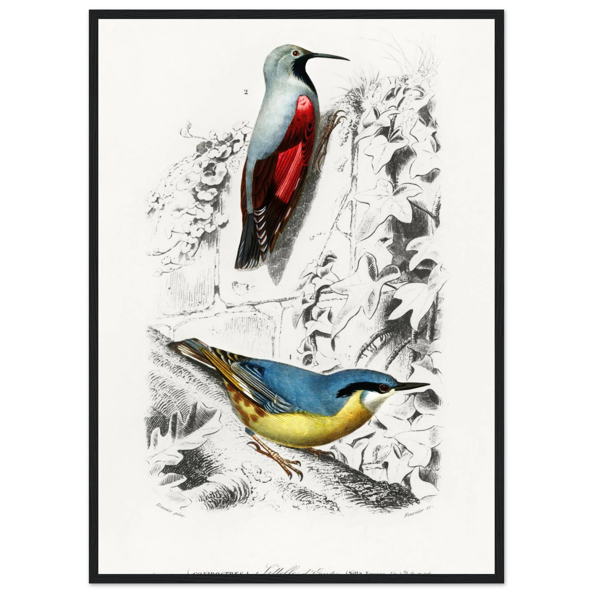 6953d771-a963-4ed3-9870-91887e9254a3