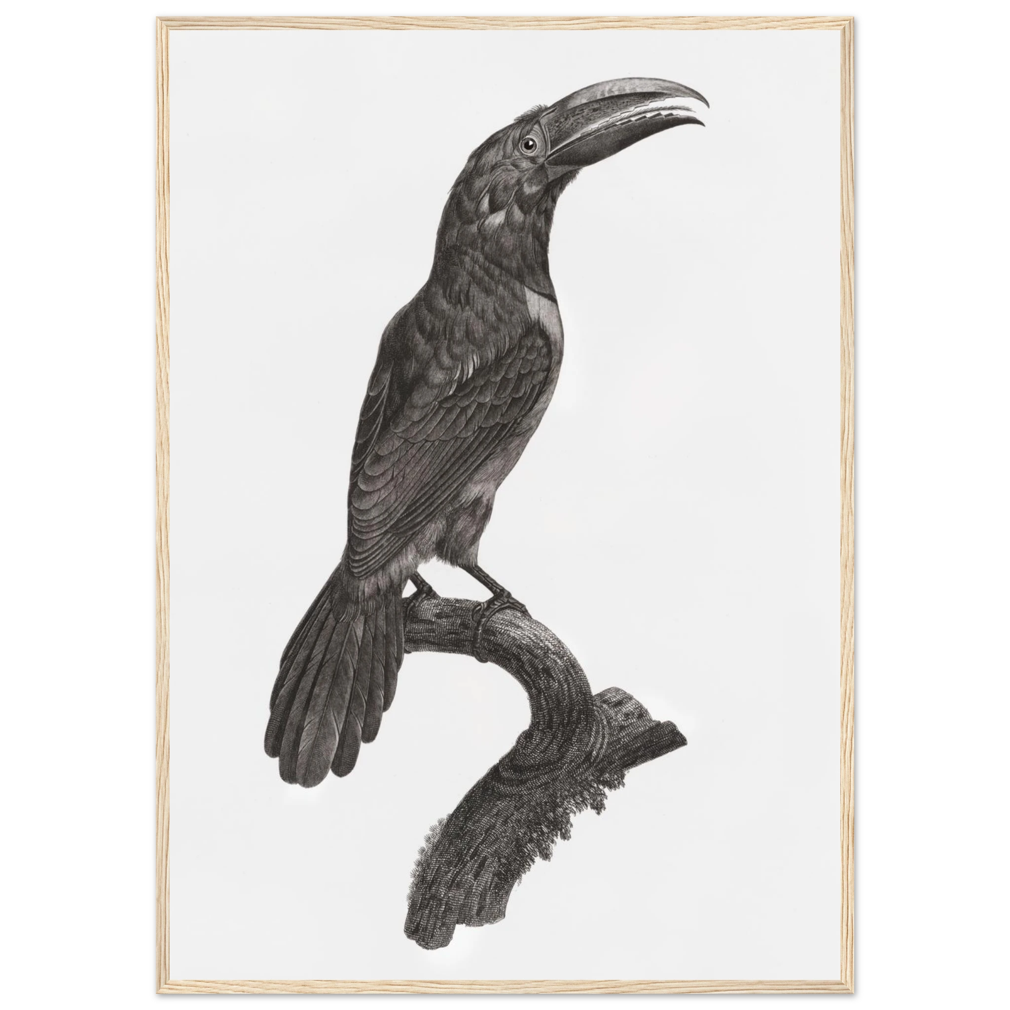 696eae95-05bb-480f-b9ec-d44998dc8606