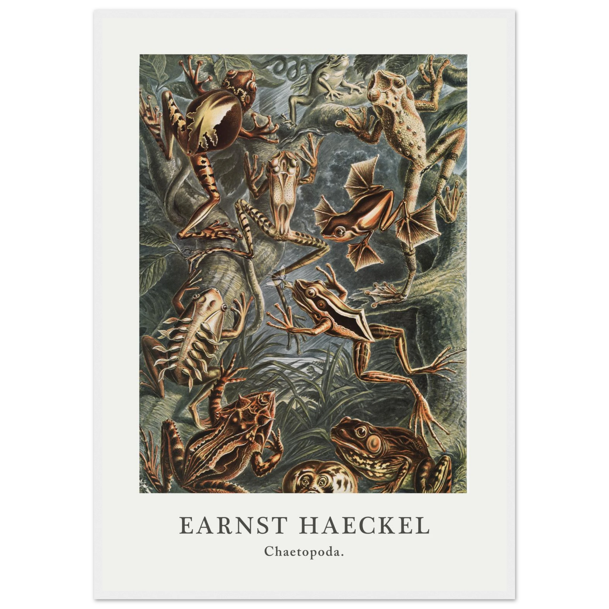 697cd087-de86-4a43-aca3-252af9797406