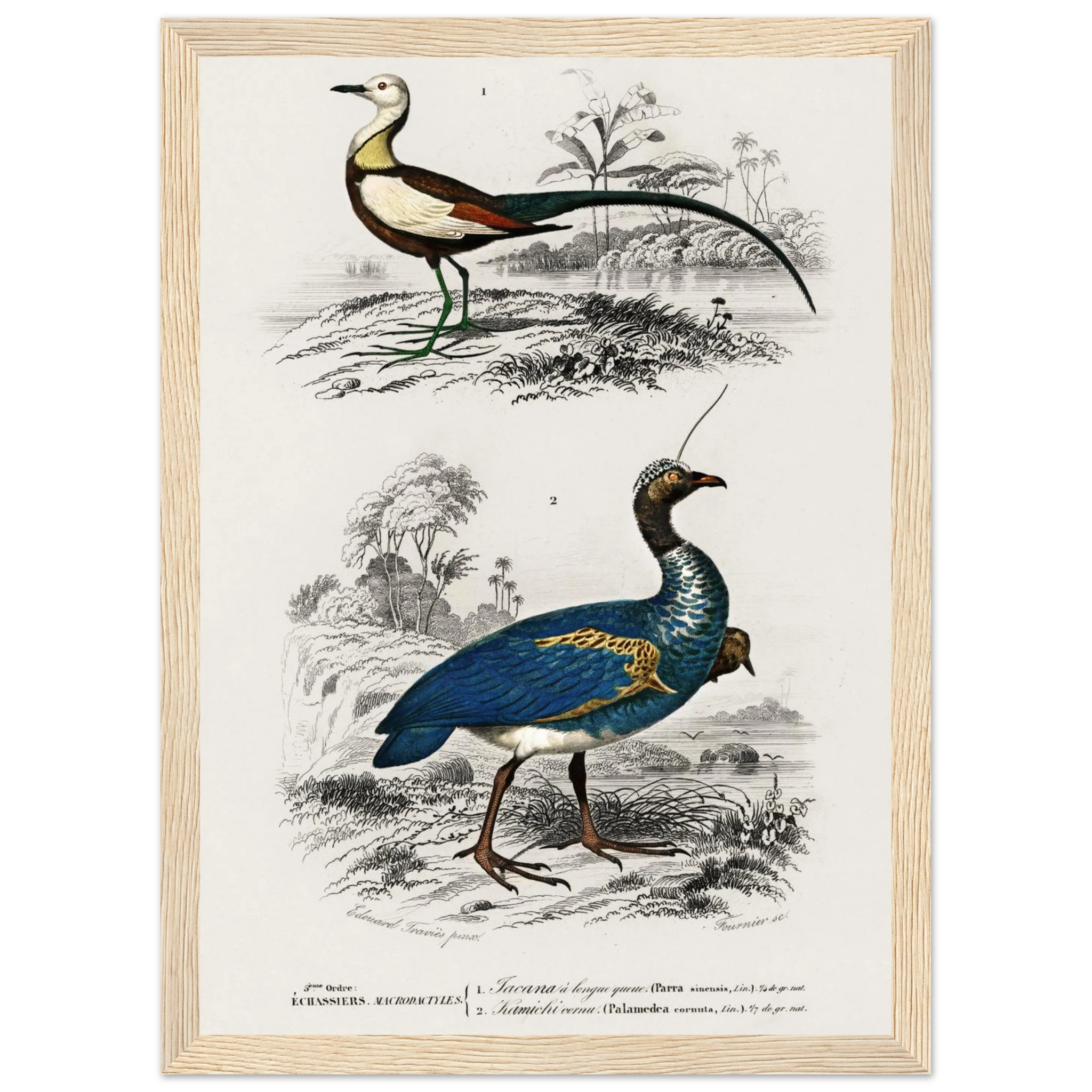 6989b1ca-ffc3-465f-aeff-381bbbe2da9a