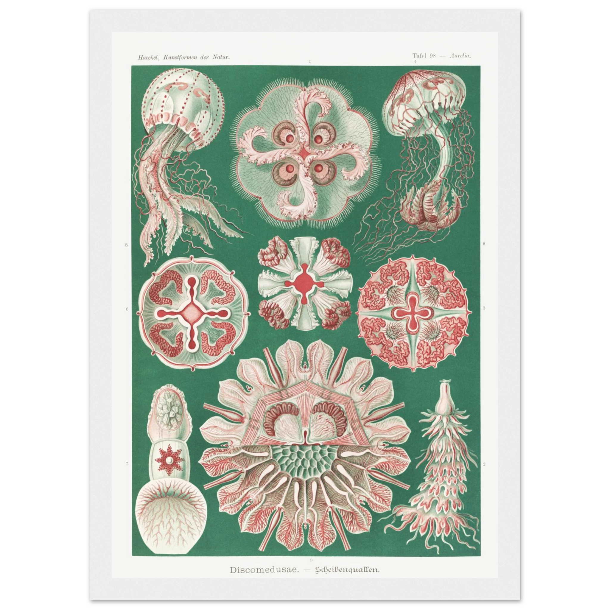 699fa5e4-6e92-4eae-8608-4bce9e6f7b3d