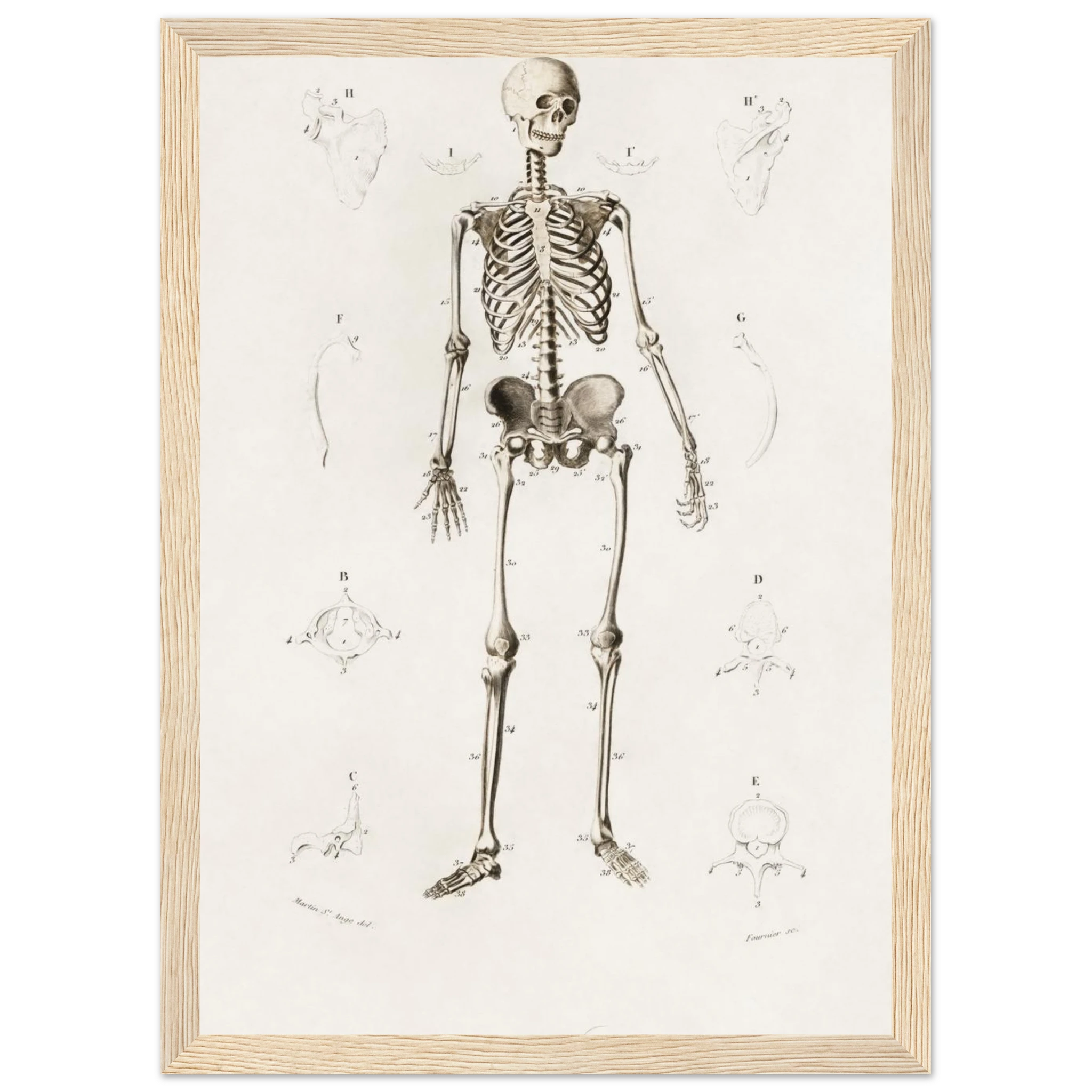 69d2839f-9370-475b-b500-33e269d63526