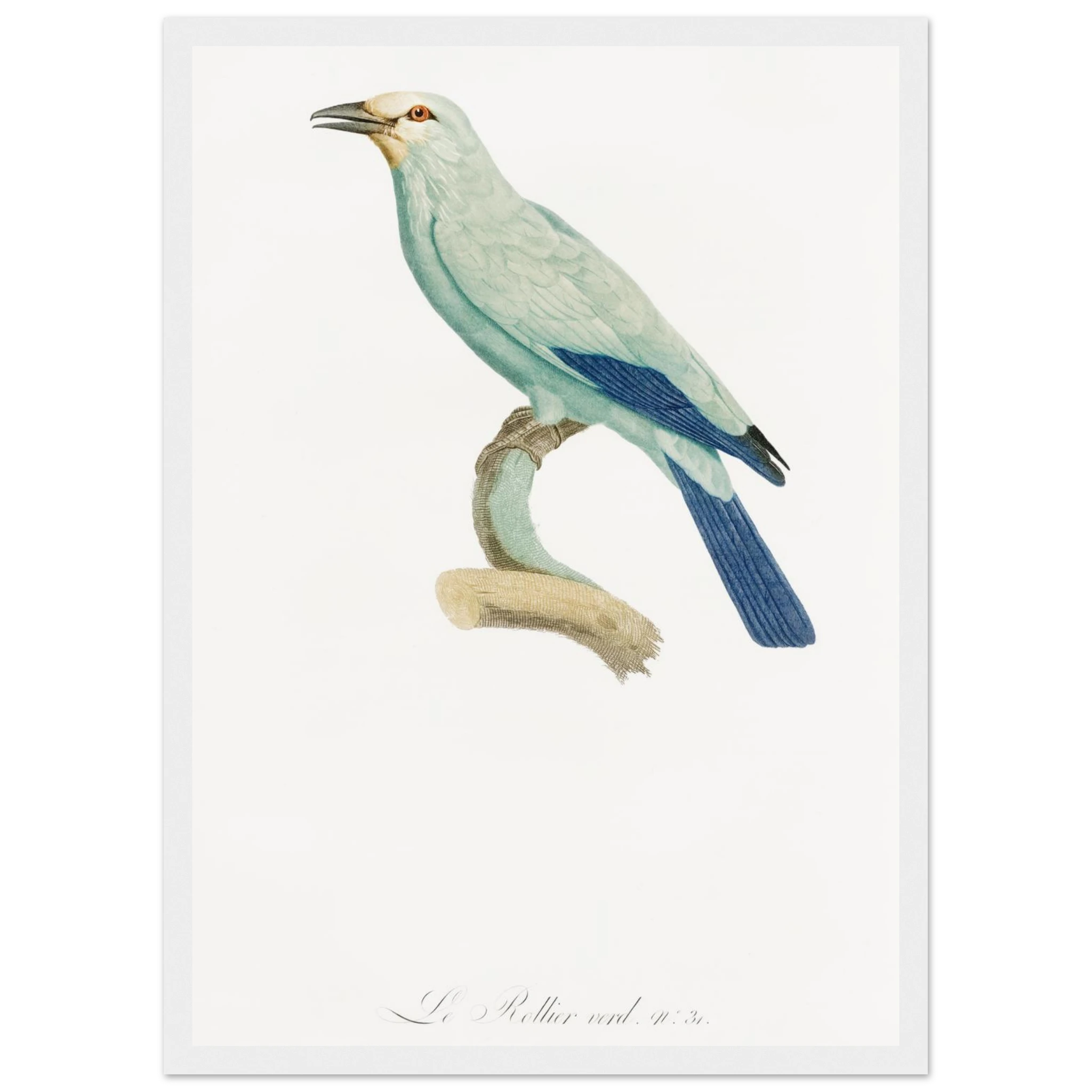 6a1f4308-c8b3-42c5-bcf3-6ce6e481b708