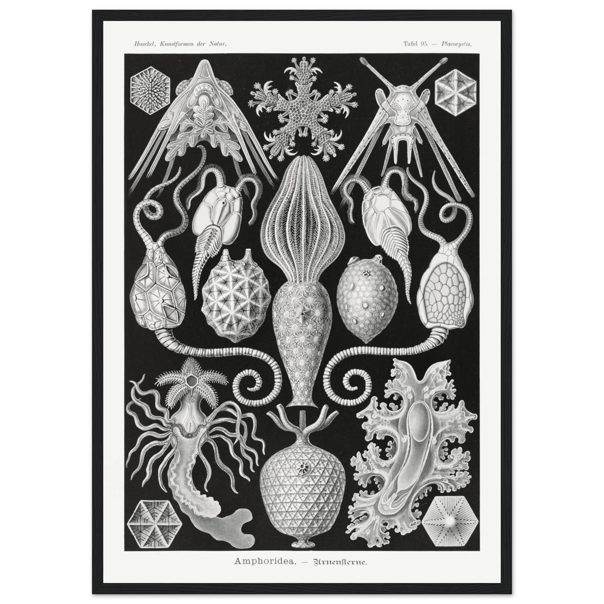 6a5471ba-2873-4e2d-9242-de86a551edcd