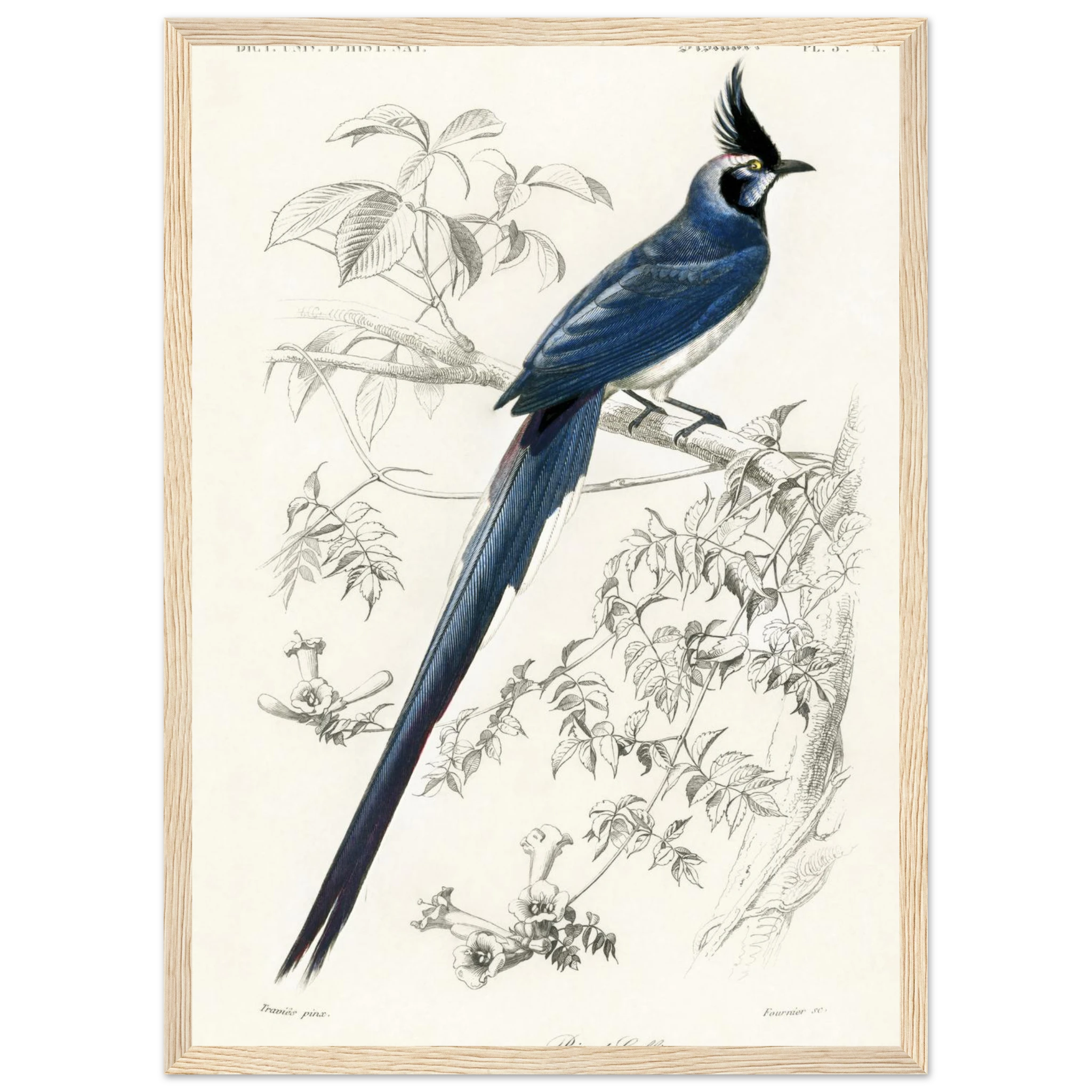 6a547295-6e90-47e9-8f4f-a873fbd5fd4f