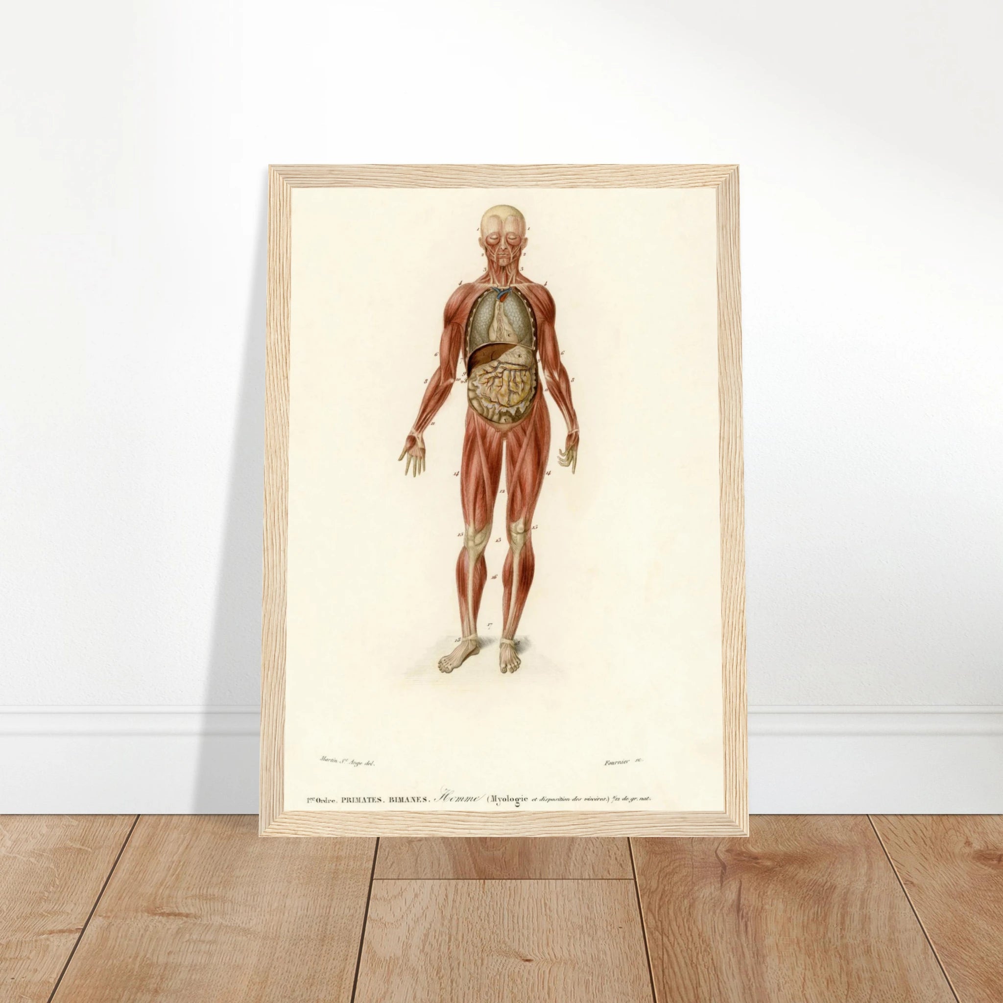 6a705948-95fd-43a2-a832-f2652c419df0