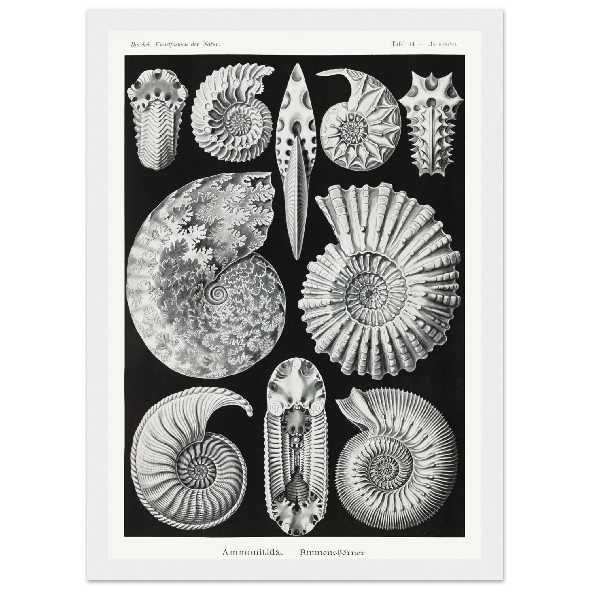 6a749c90-989c-4ef1-bfda-e2acb1f8a718