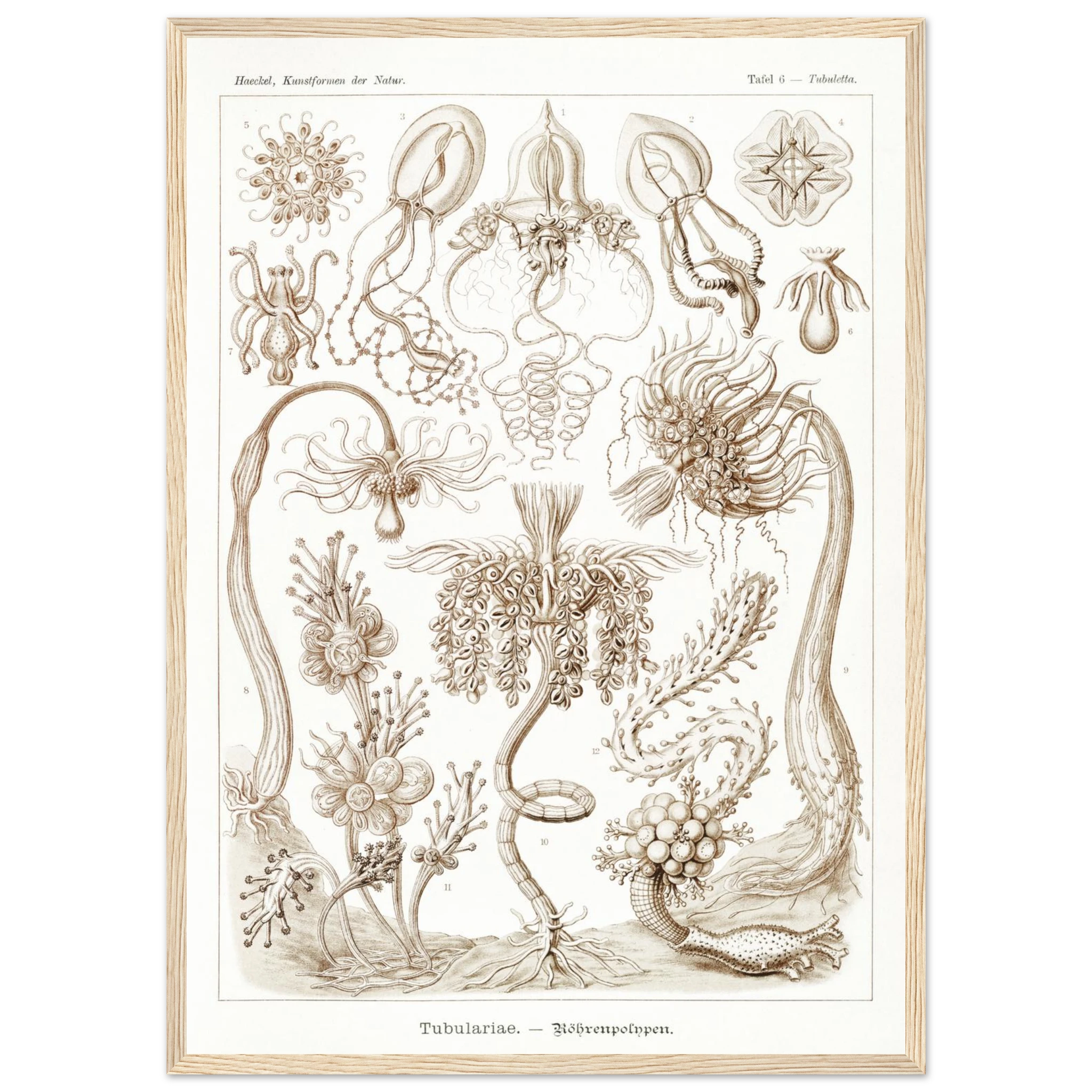 6ad7eb53-92fb-493c-b74f-deb204da7b91