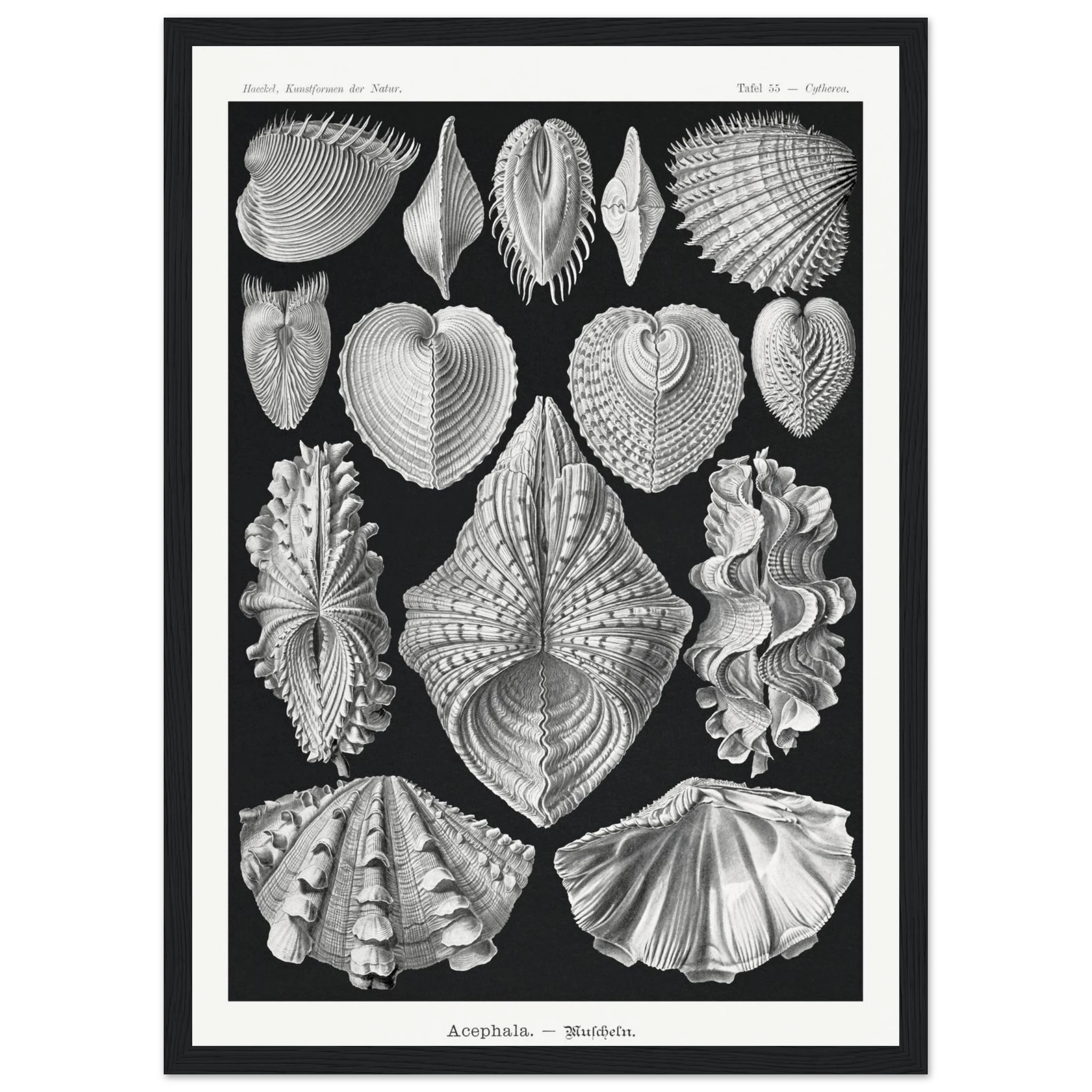 6aece0aa-b4e0-4d26-9a35-6c47bc73dc38